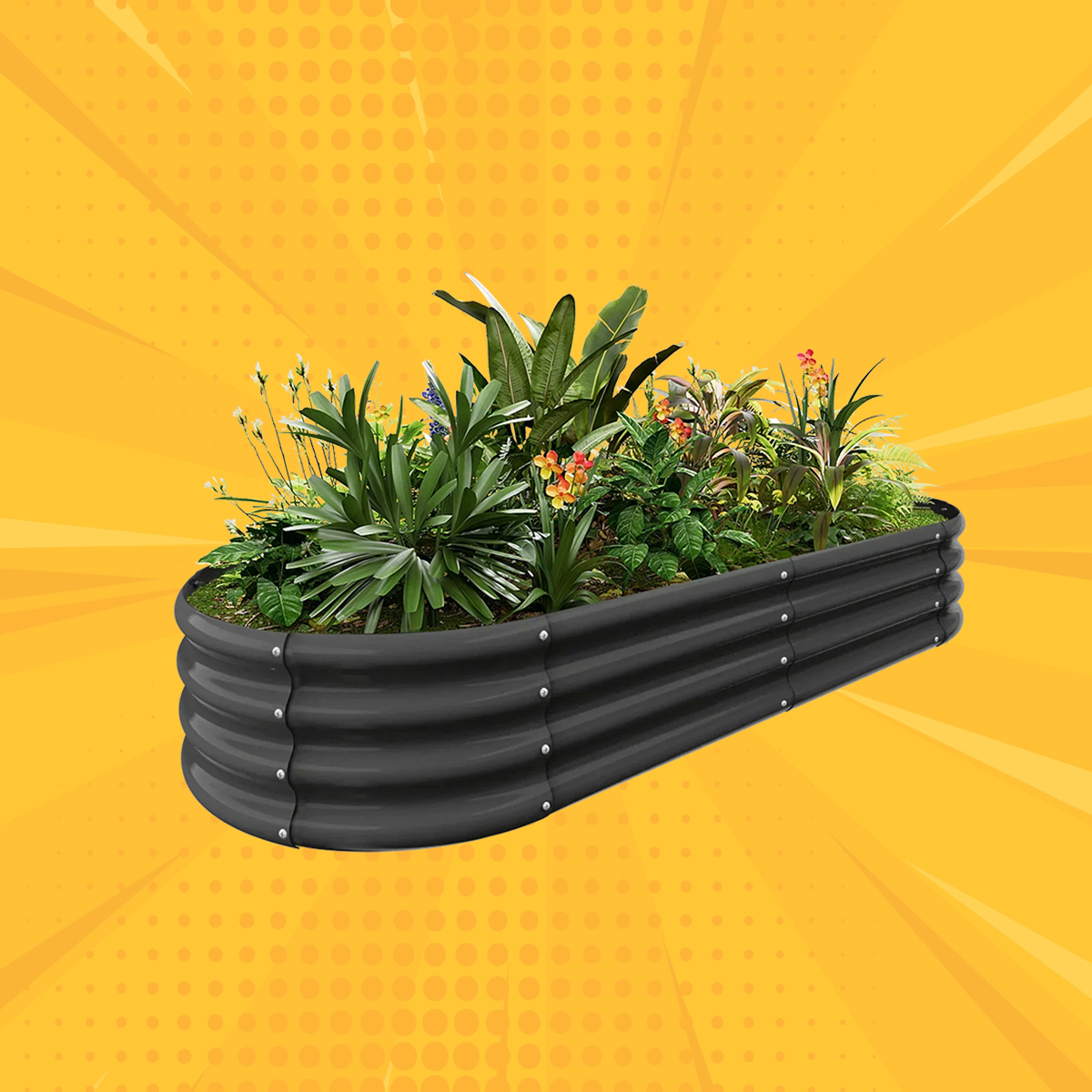 12" Tall Oval 6x3x1ft Galvanized Raised Garden Bed