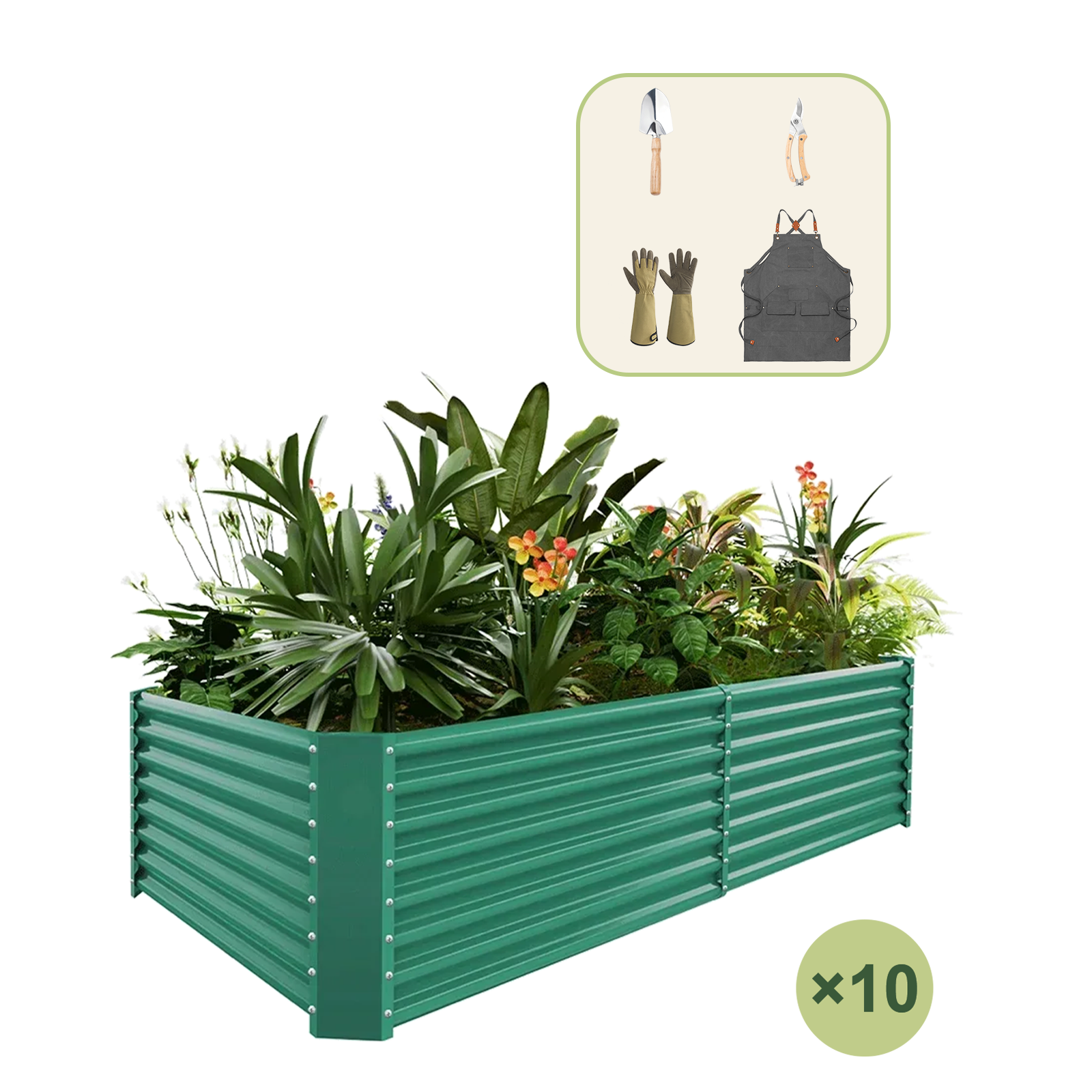 10-Pack 24