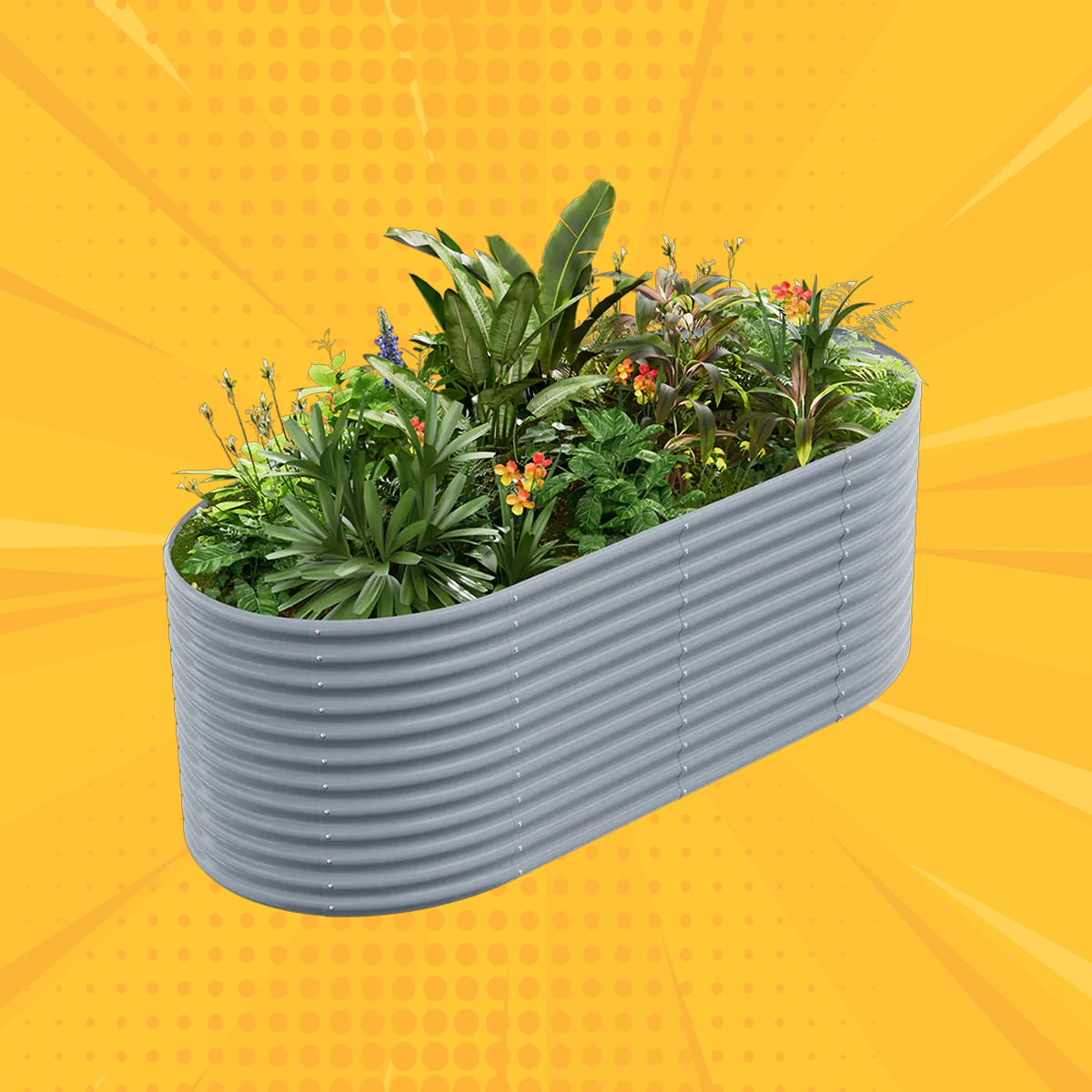 36" Tall Oval 8x4x3ft Galvanized Raised Garden Bed