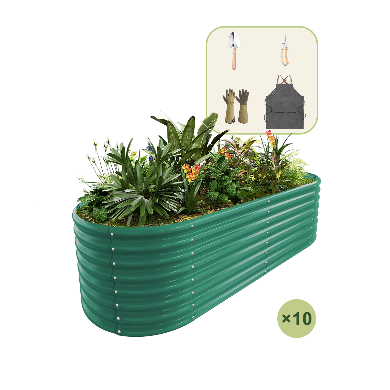 10-Pack 24