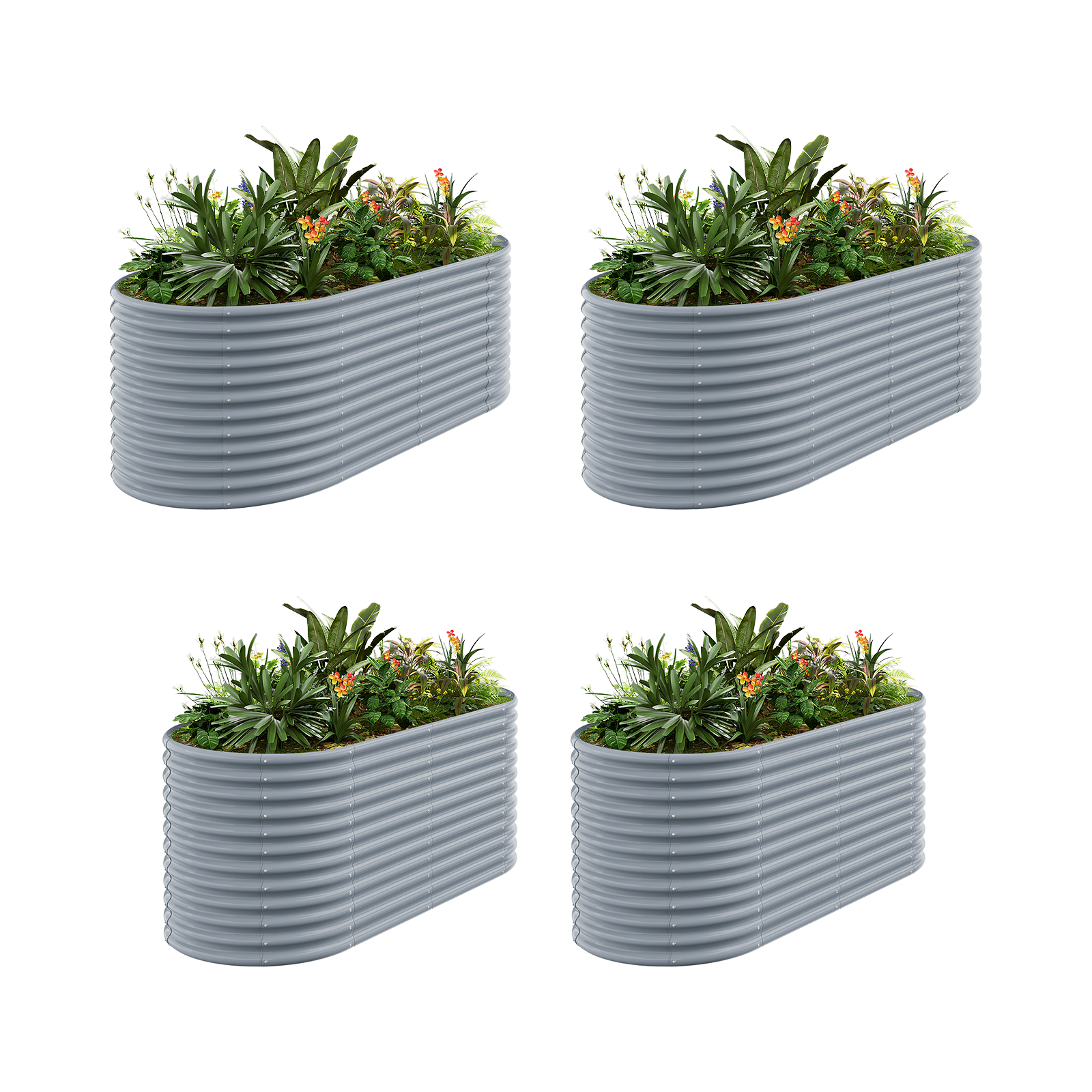 4-Pack 36