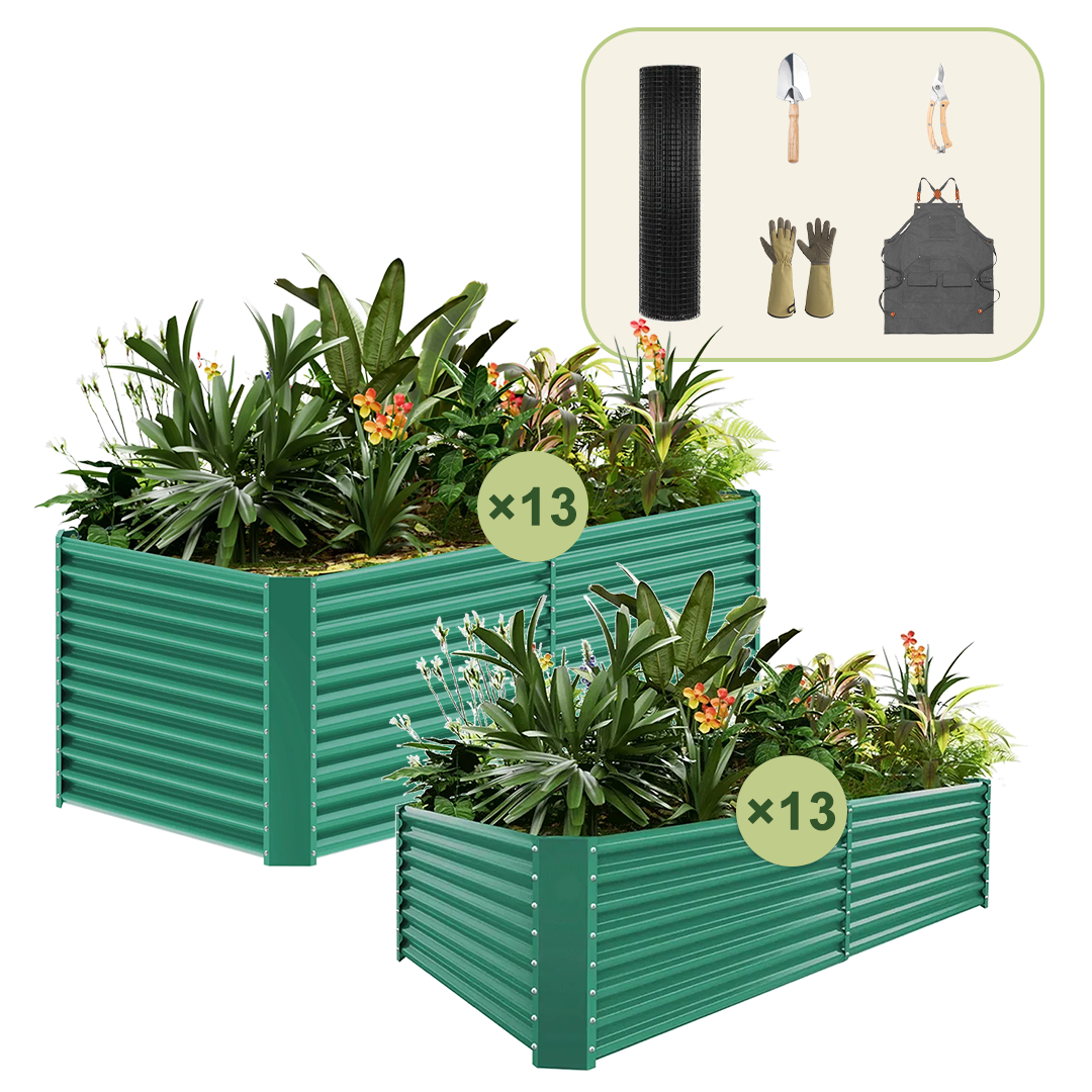13-Pack 36