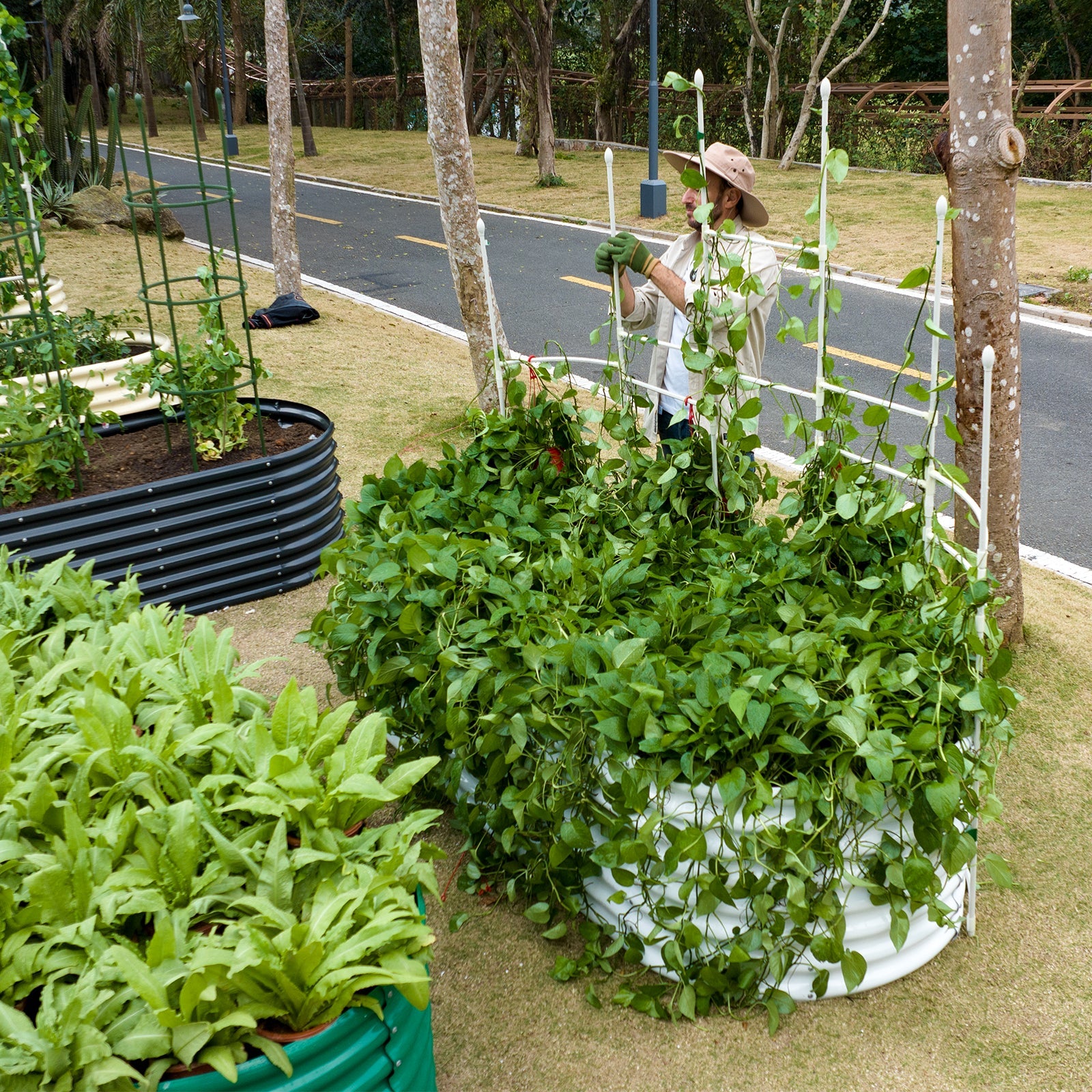 Wall Trellis+7.5x3x2ft Galvanized Raised Garden Bed