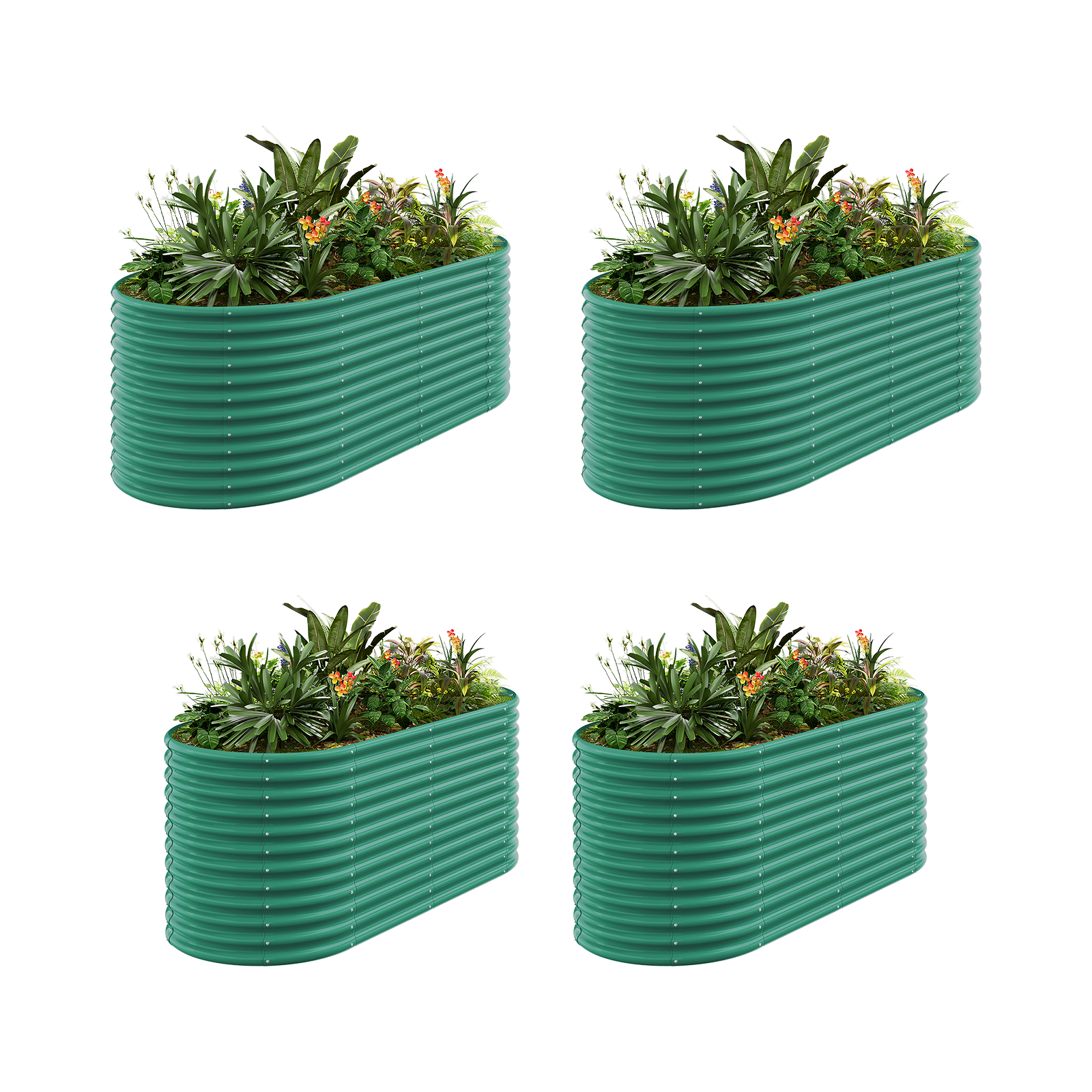 4-Pack 36
