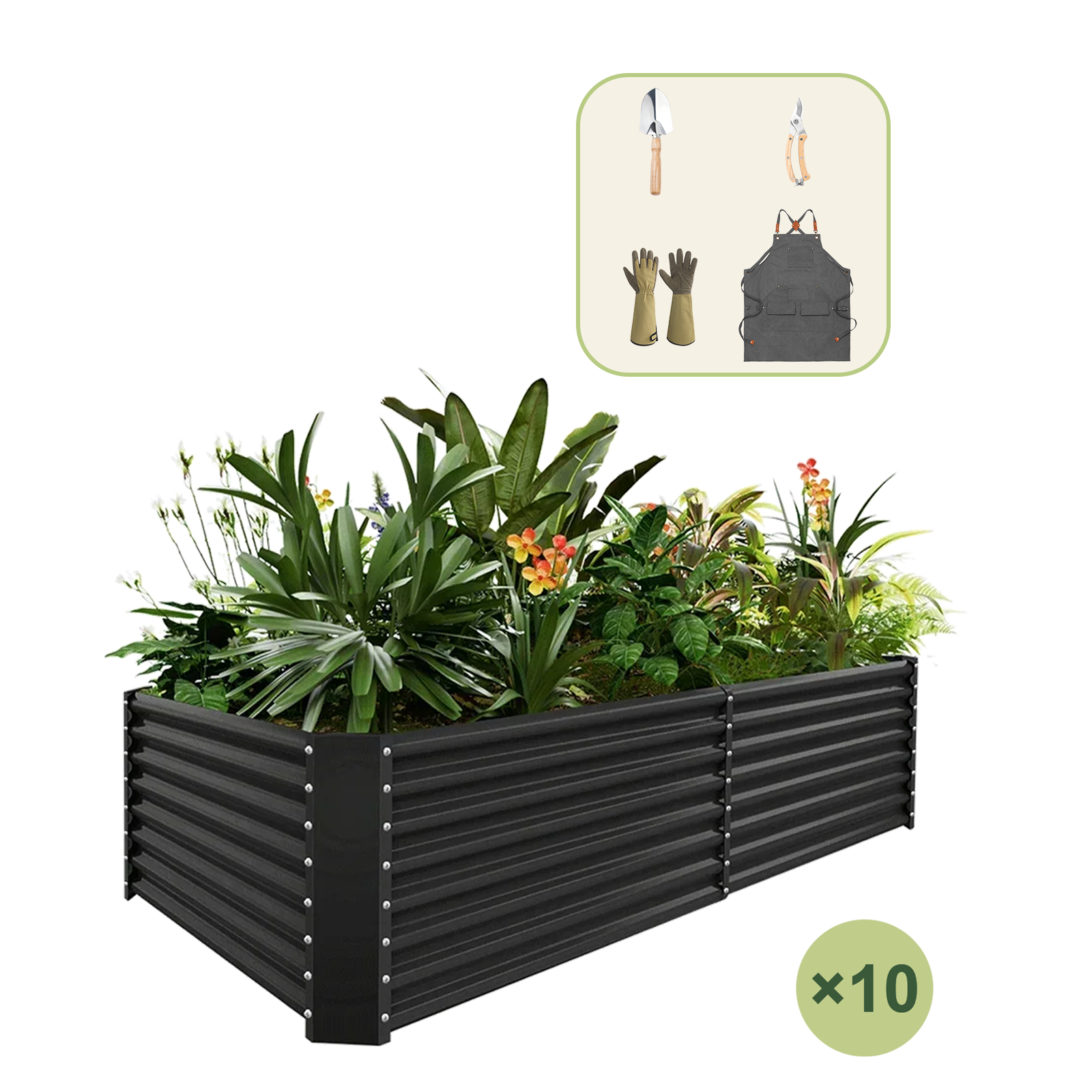 10-Pack 24
