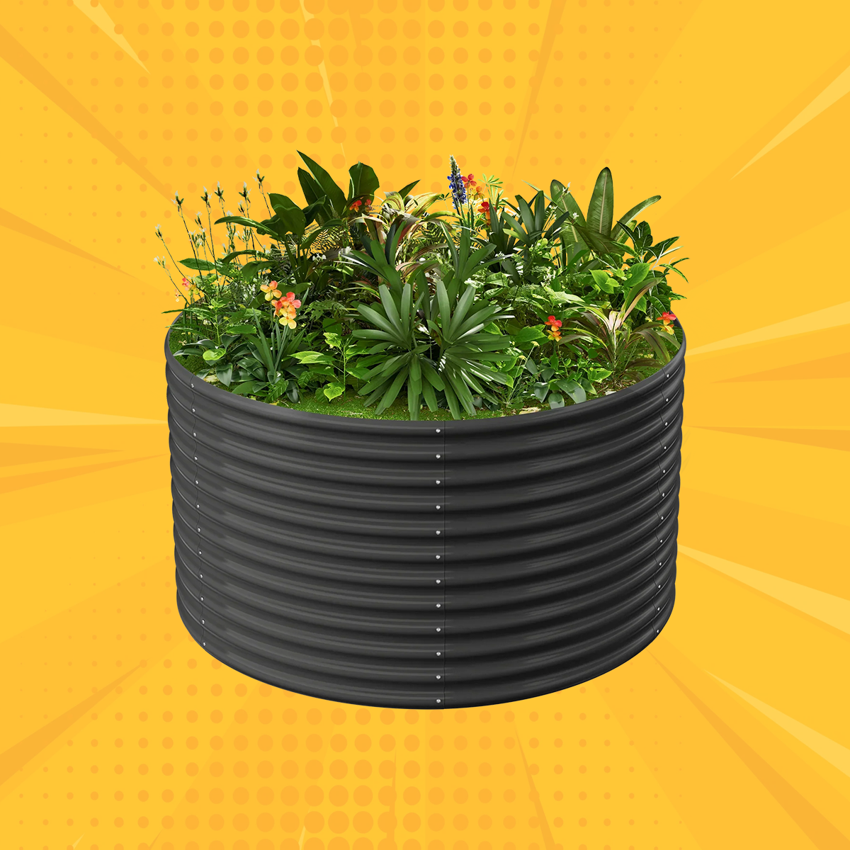 36