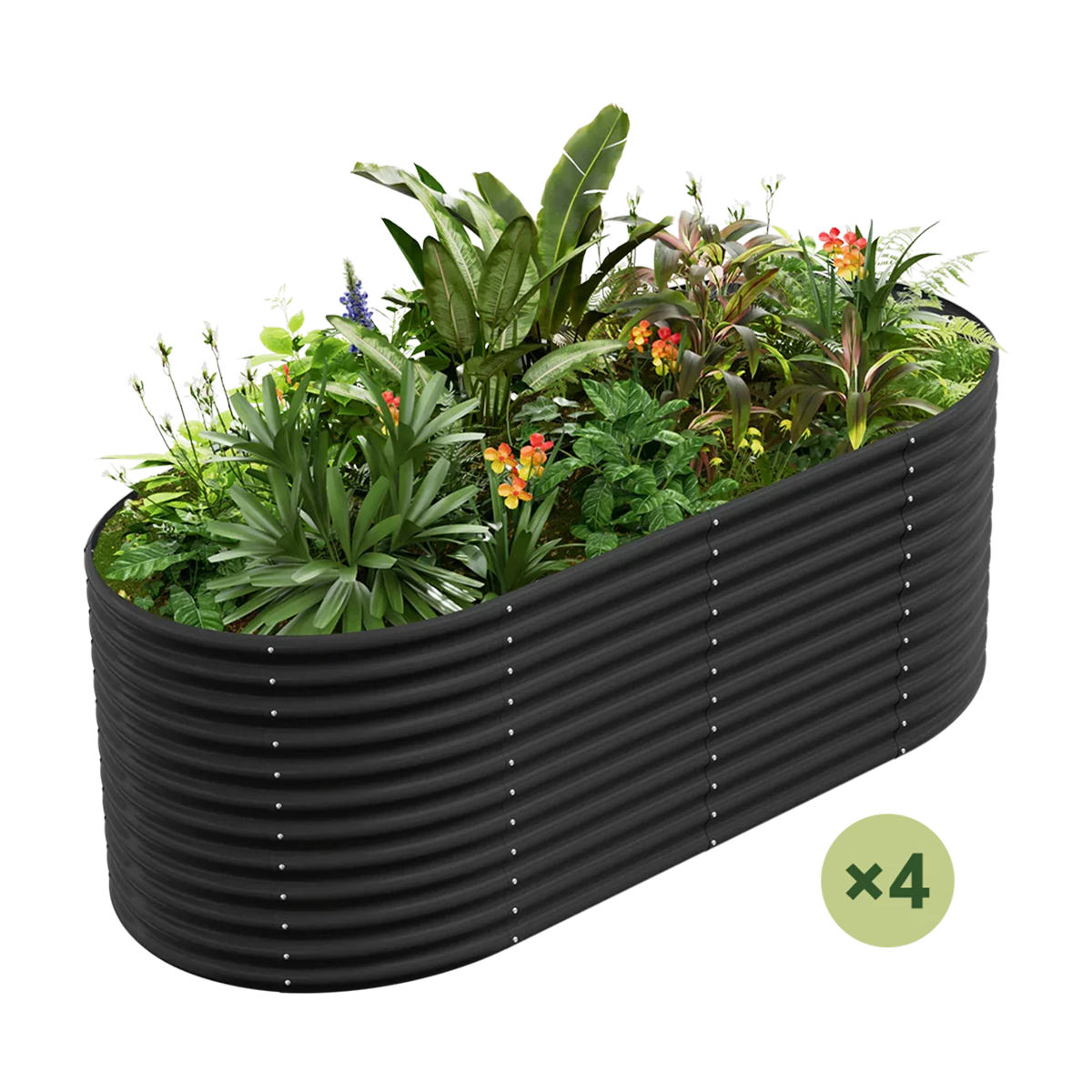 4-pack black galvanized raised garden bed with lush plants and flowers