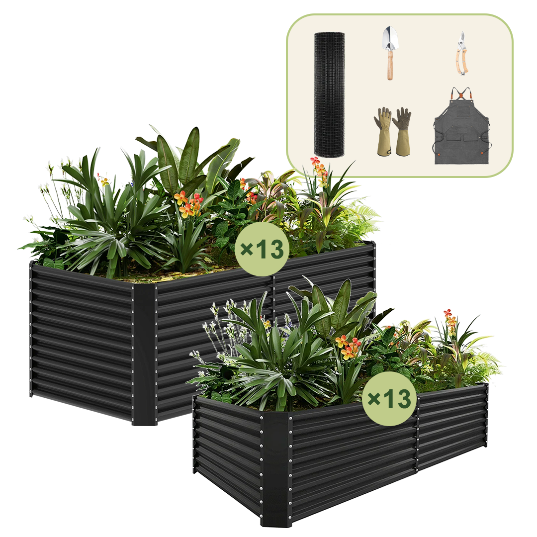 13-Pack 36