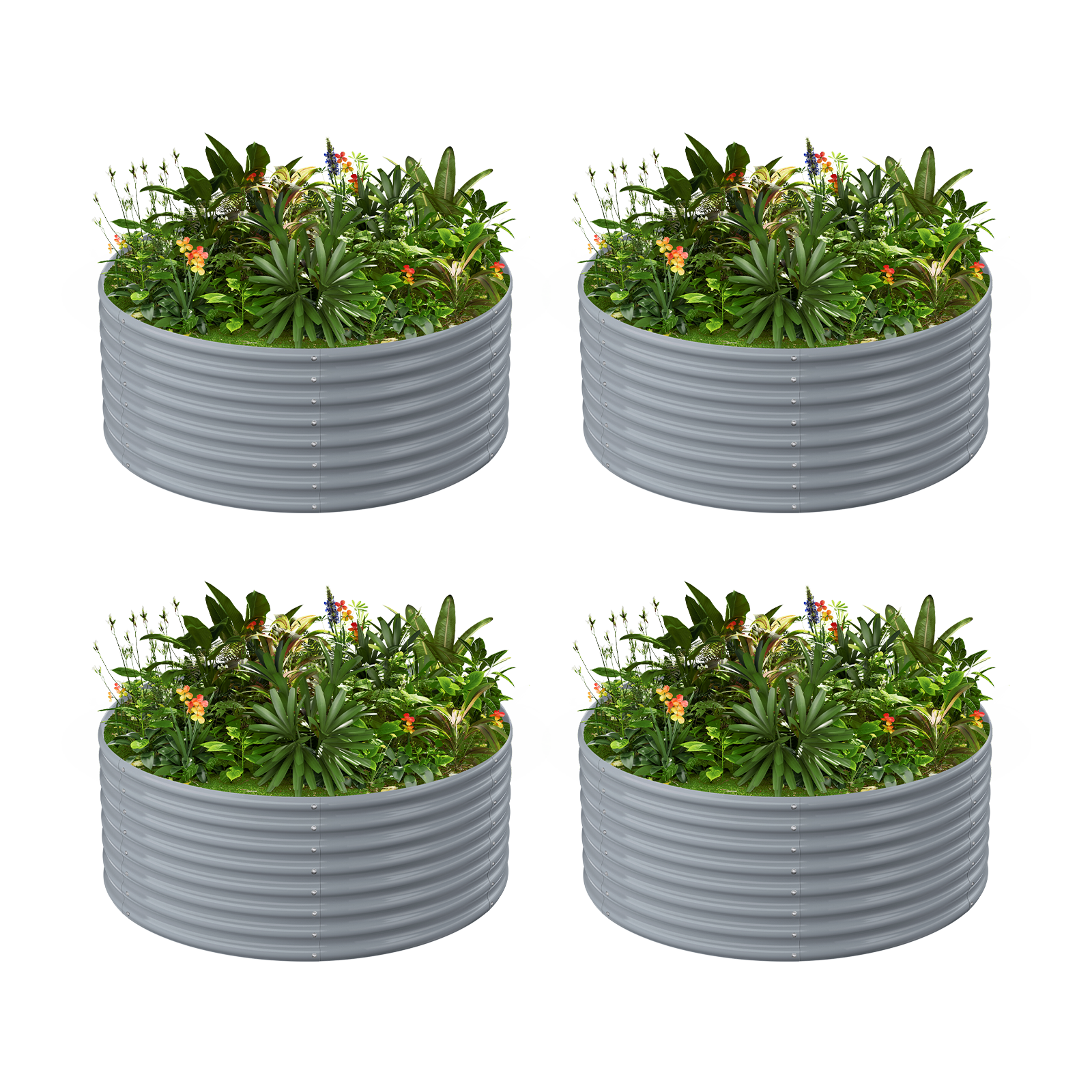 4-Pack 24