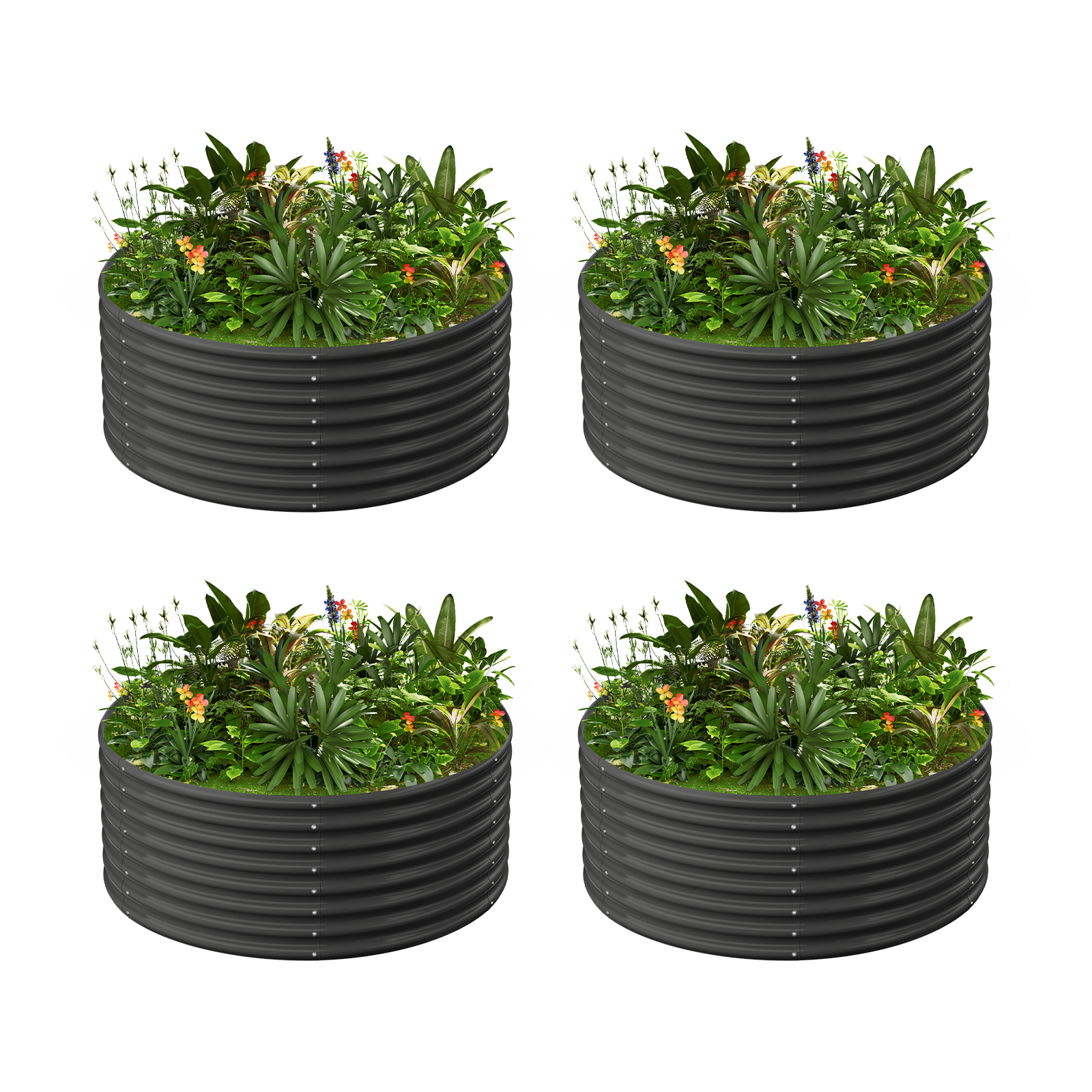 4-Pack 24