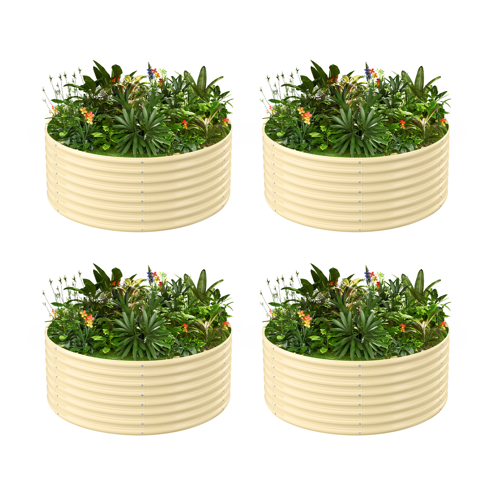 4-Pack 24