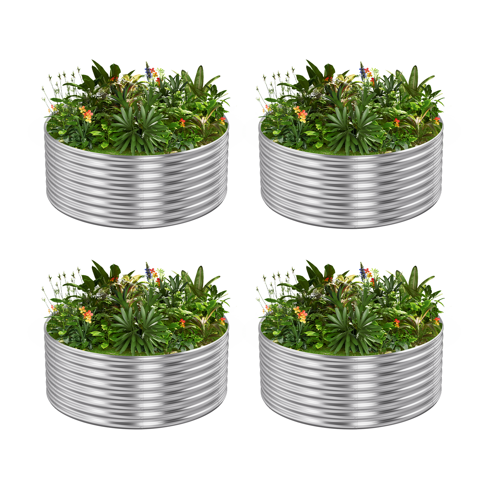 4-Pack 24