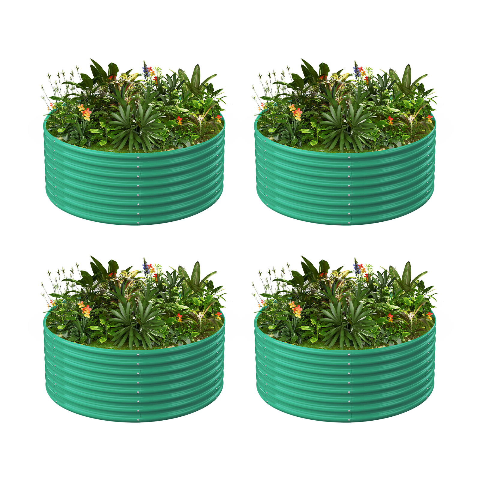 4-Pack 24
