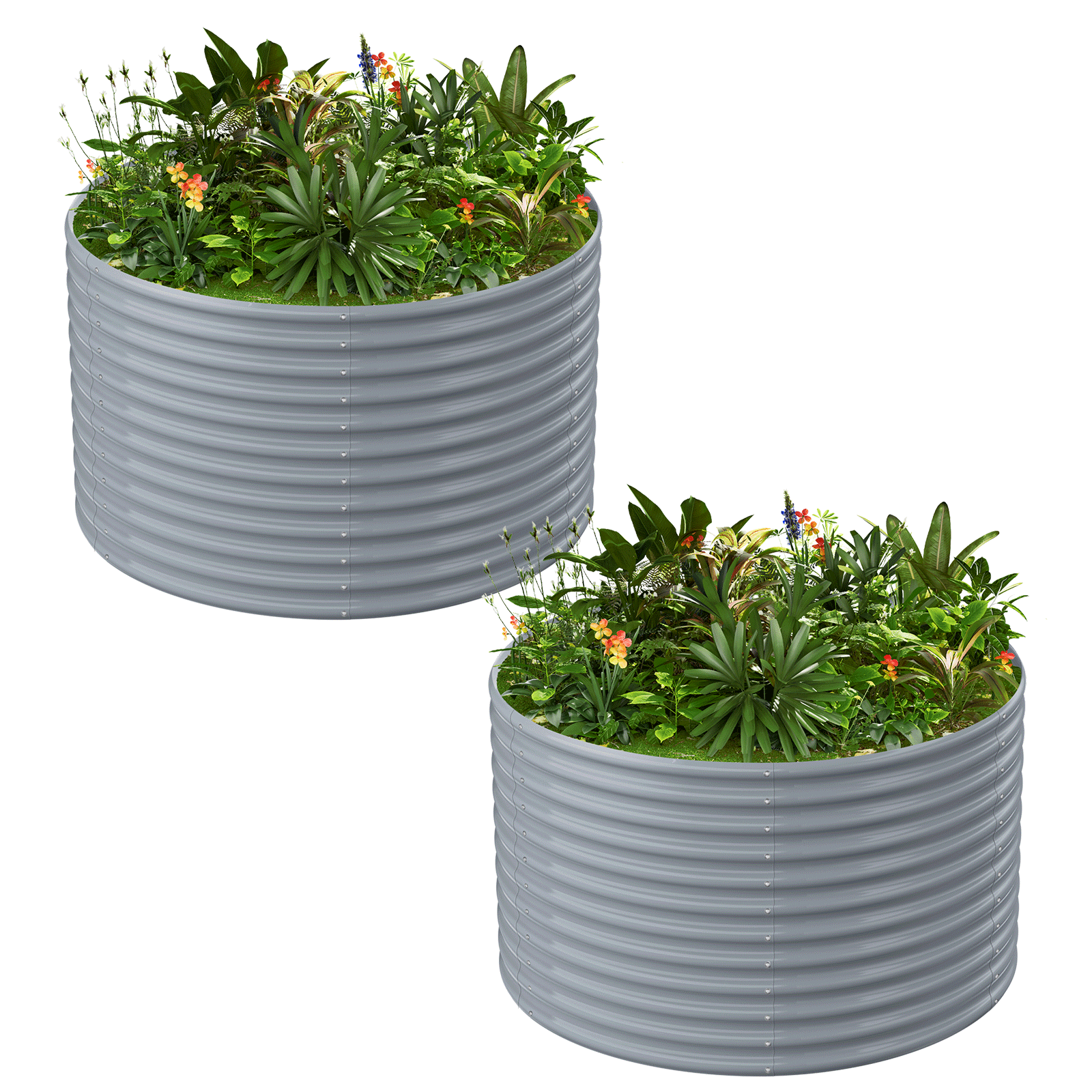 2-Pack 36