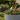 4-tic.png__PID:9f0419a3-140d-4554-8ae8-2f4755cad97a