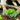 Person planting lettuce seedling in galvanized raised garden bed with green gardening gloves.