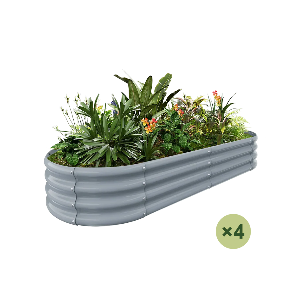 4-Pack Oval 6x3ft Galvanized Raised Garden Bed filled with plants