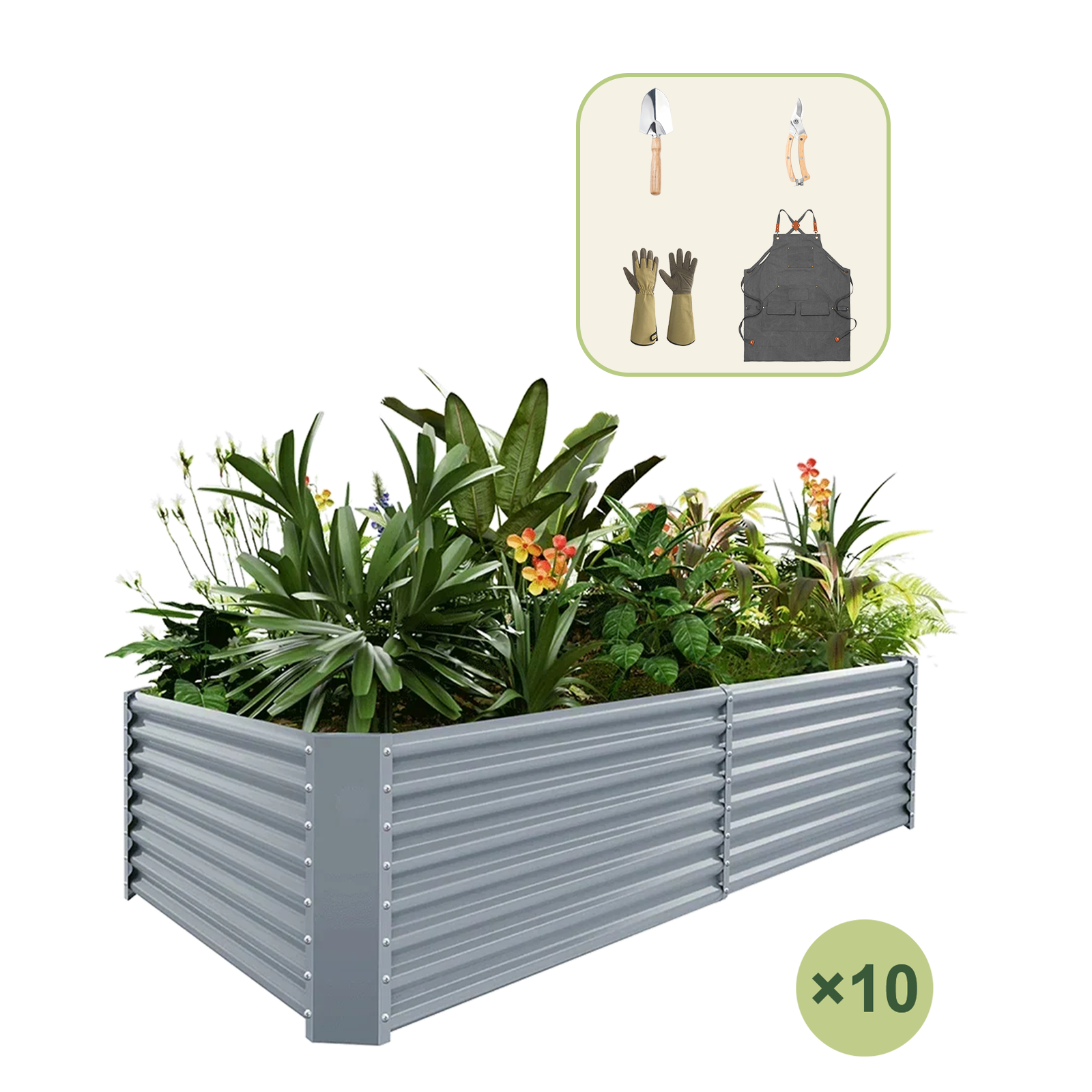 10-Pack 24