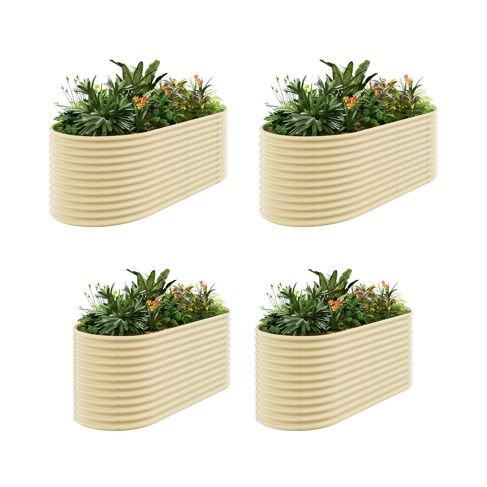 4-Pack 36