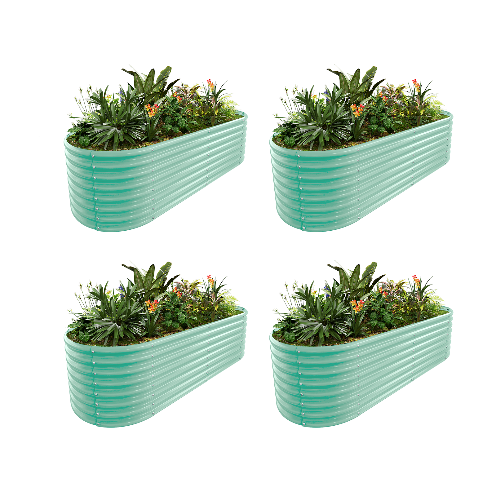 4-Pack 24