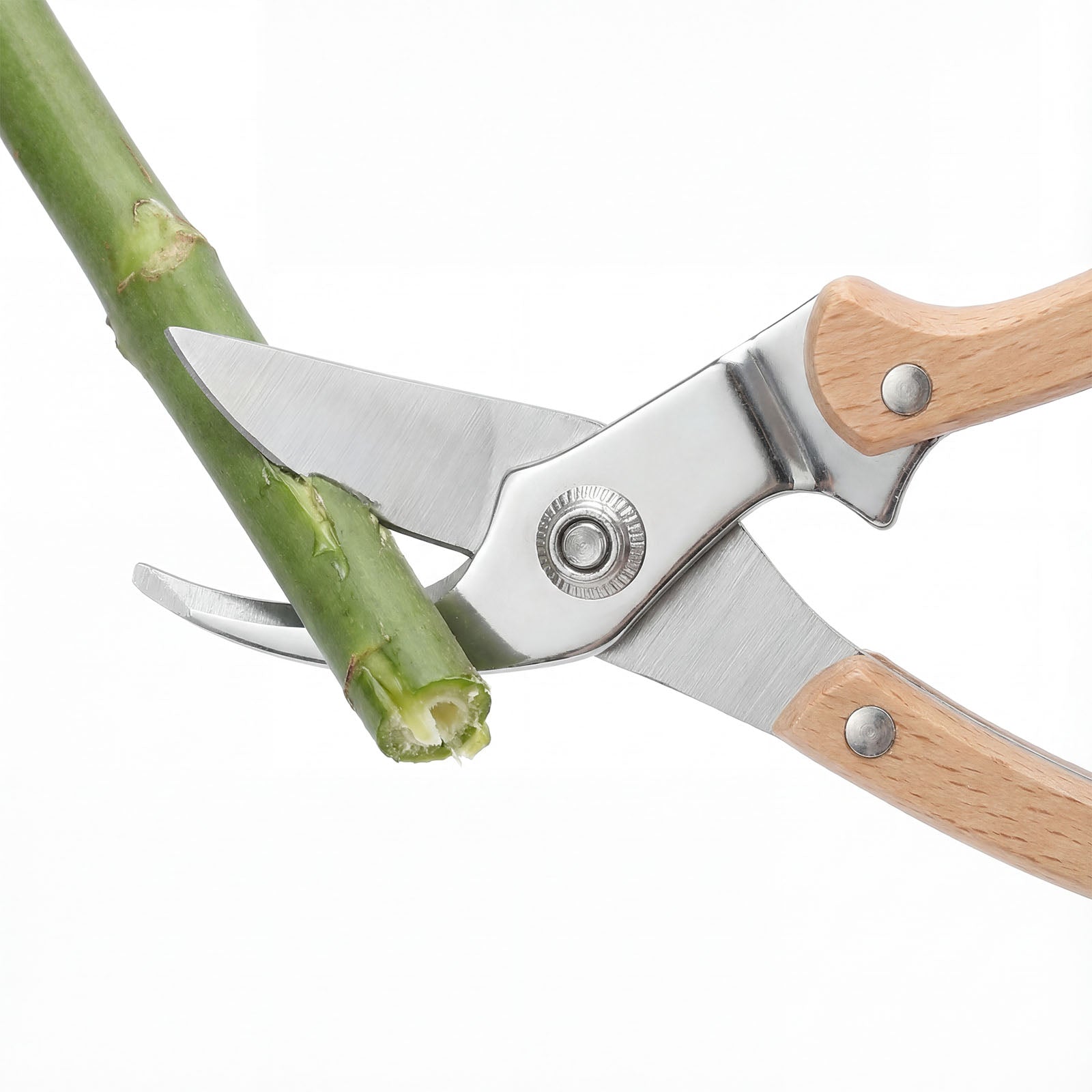 Landguardgarden 7.5-Inch Gardening Wooden Handle Pruning Shears