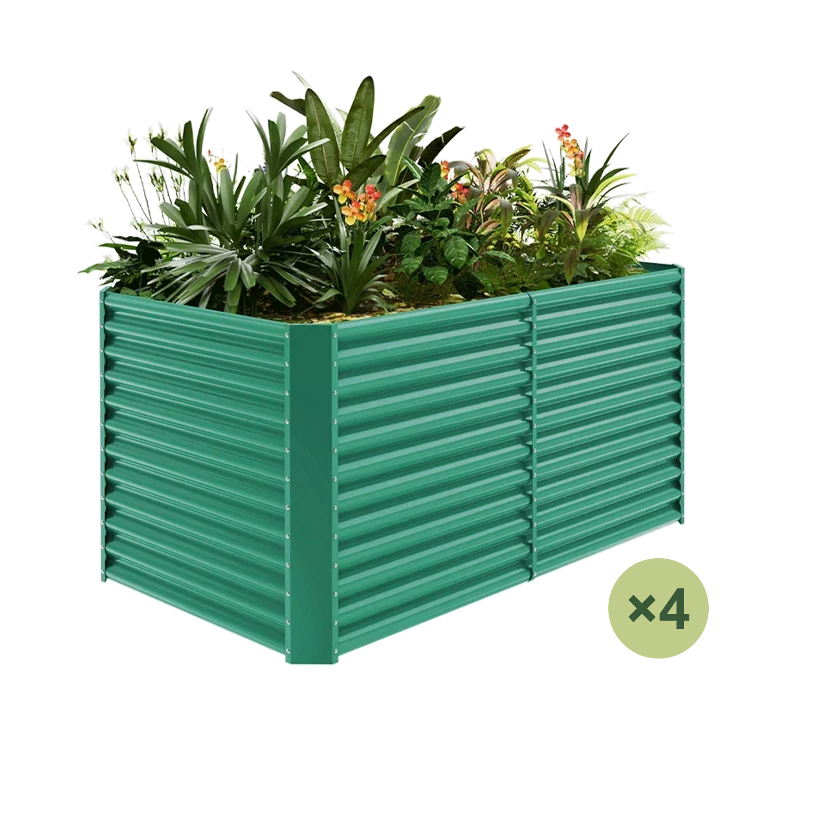 4-Pack 36