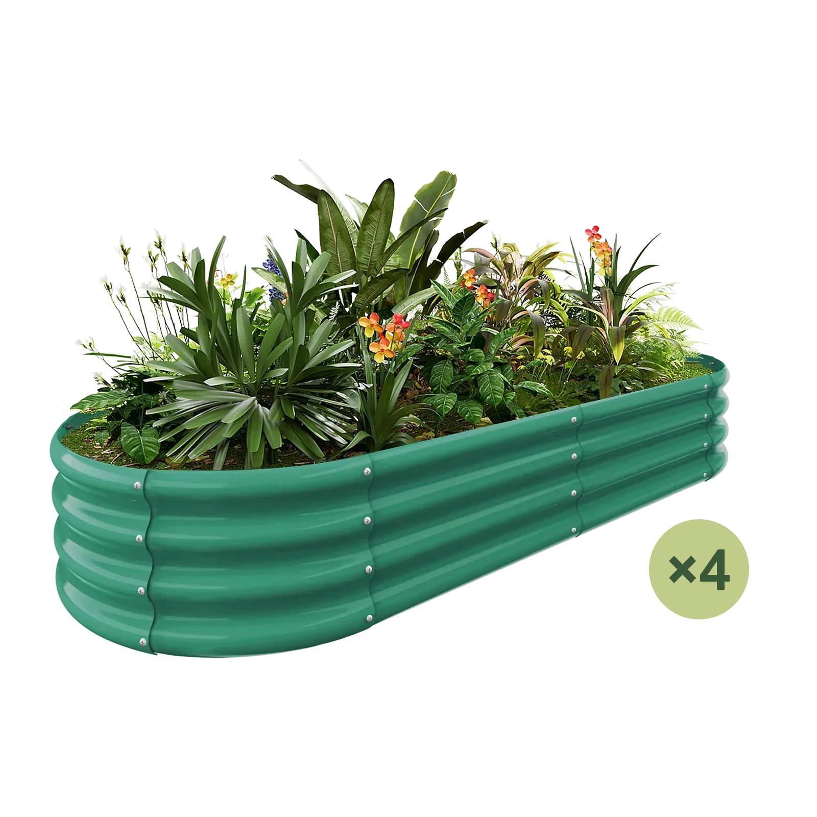 4-Pack Oval 6x3x1ft Galvanized Raised Garden Bed