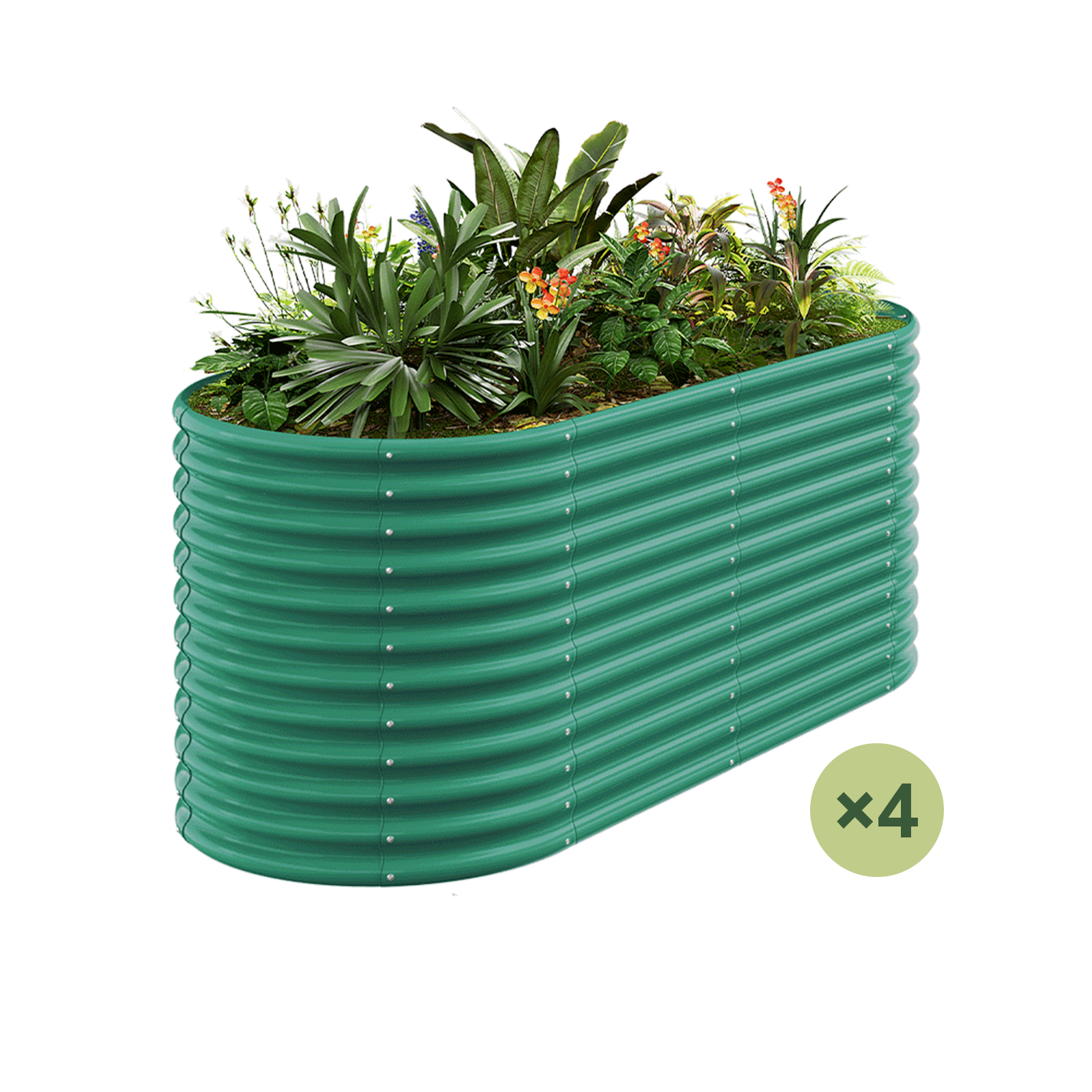 4-Pack 36