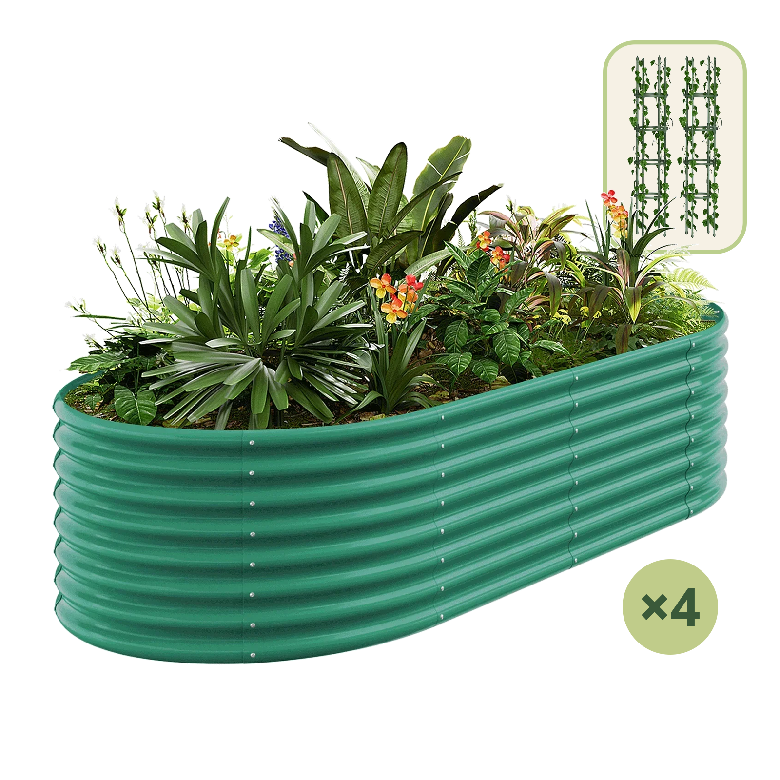 4-Pack 24