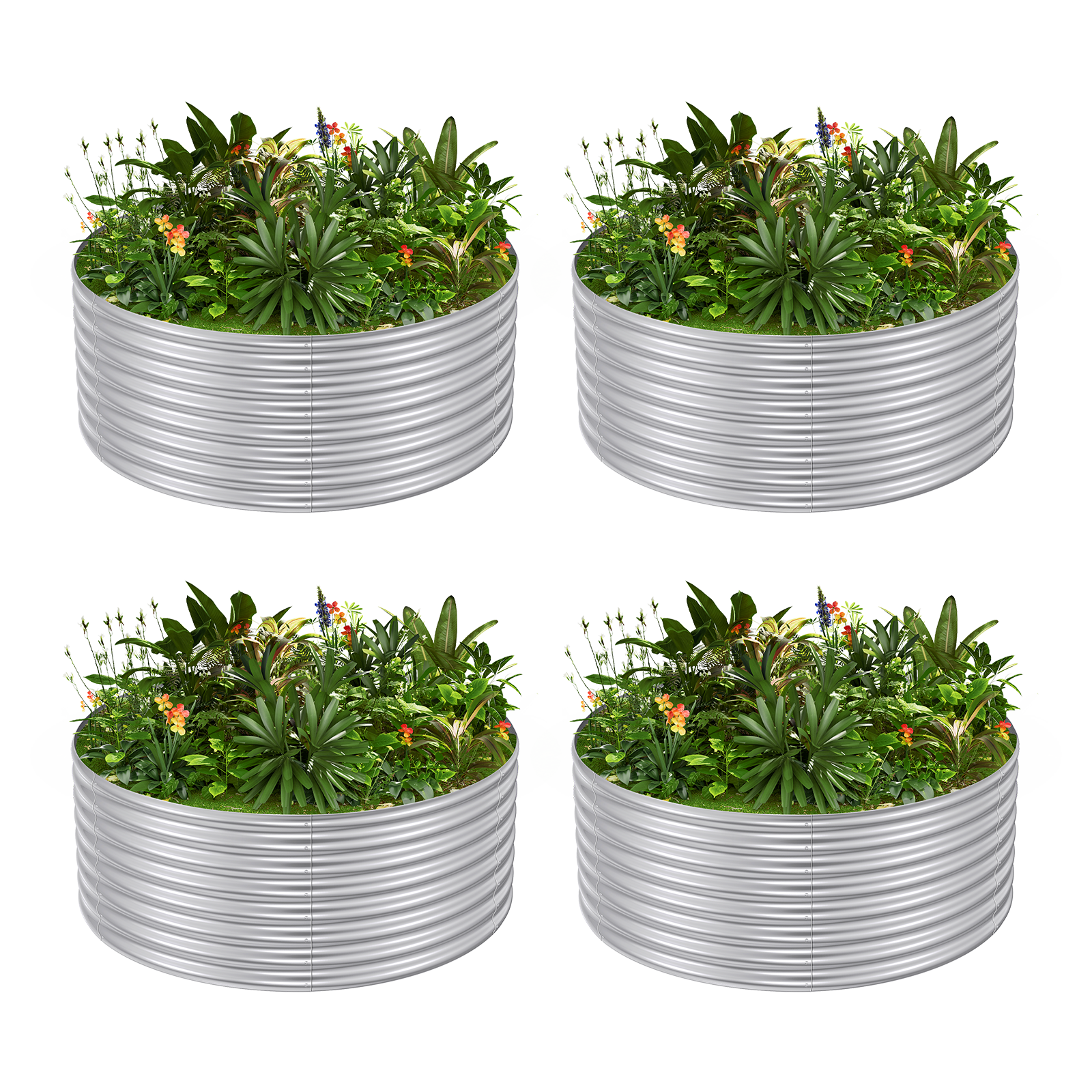 4-Pack 24