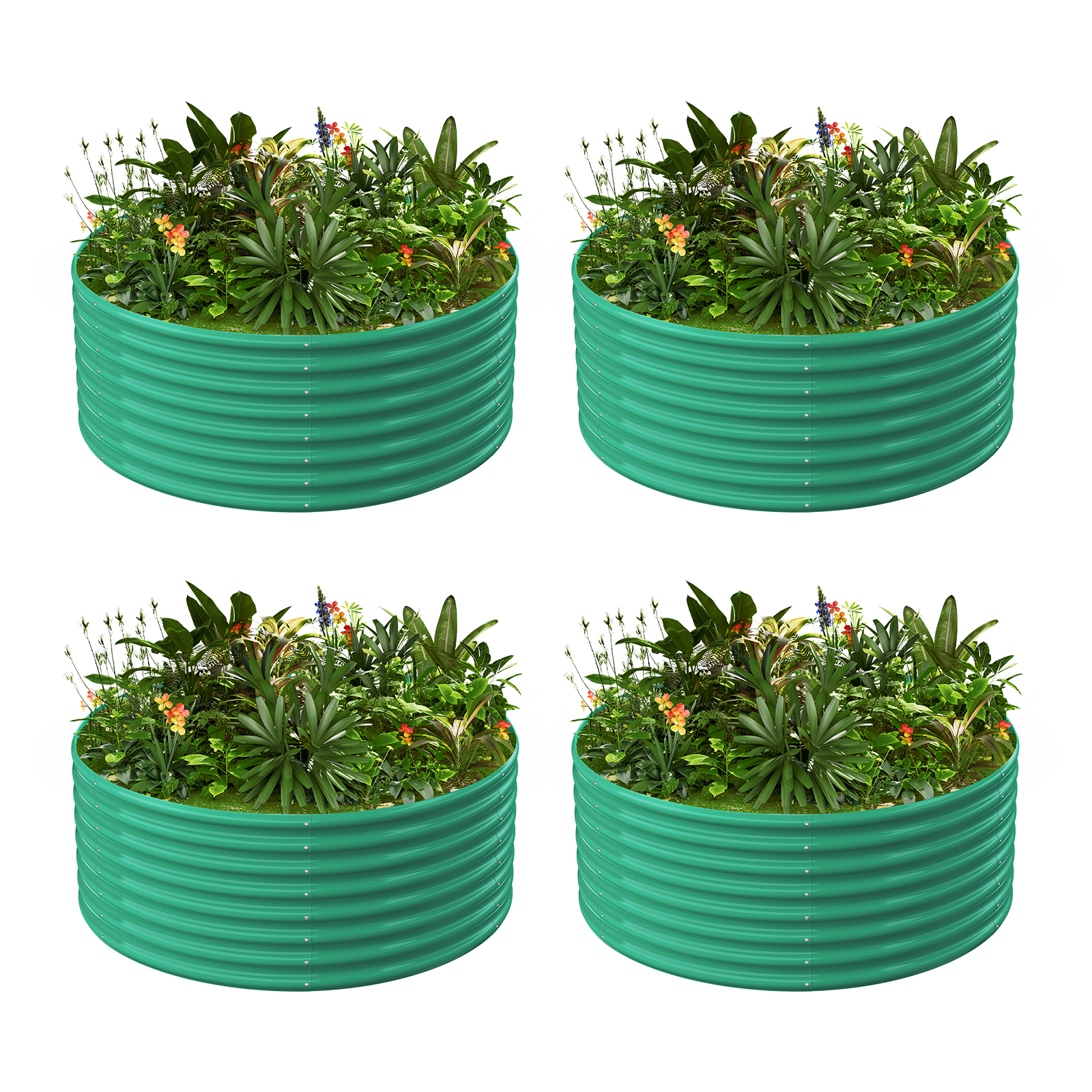 4-Pack 24