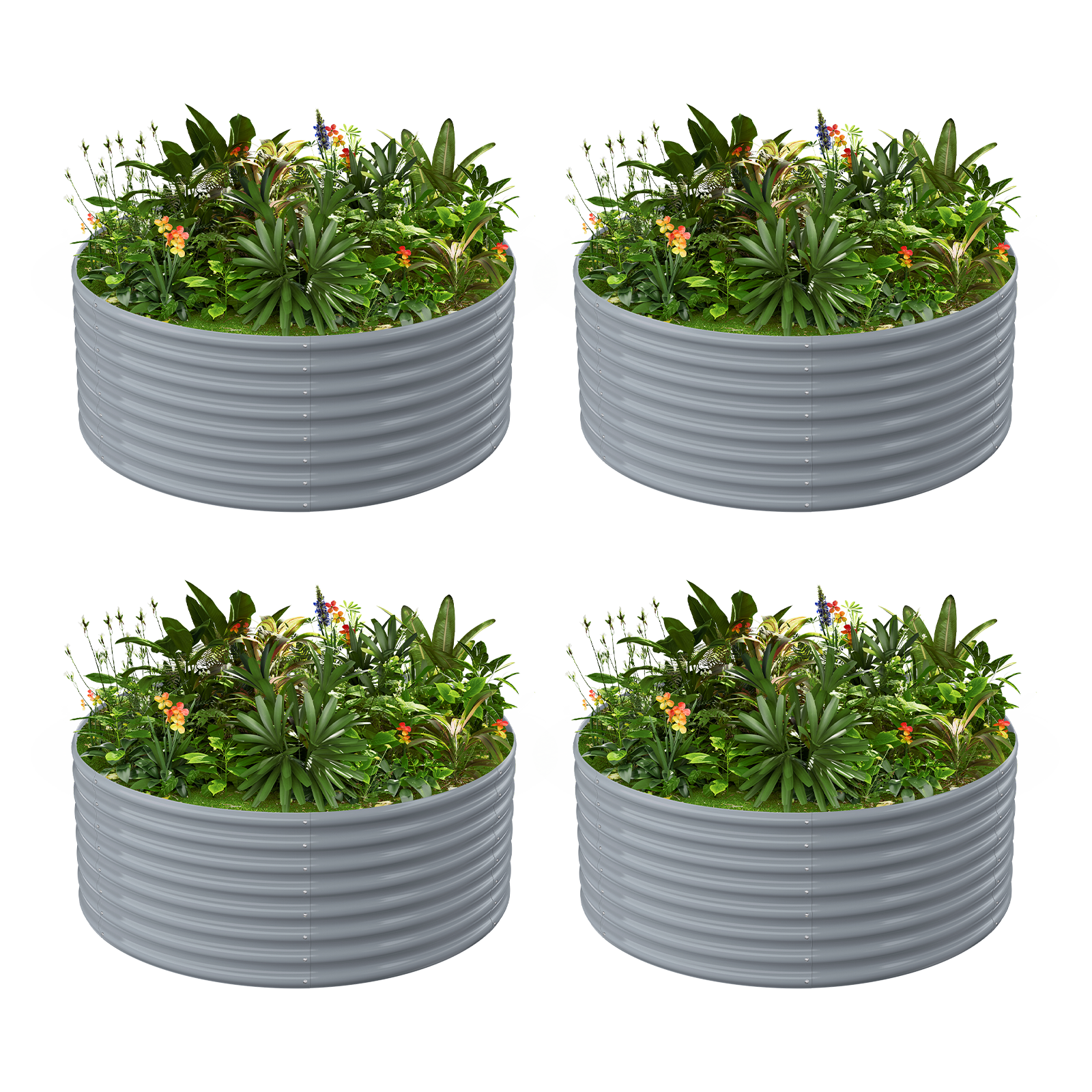 4-Pack 24