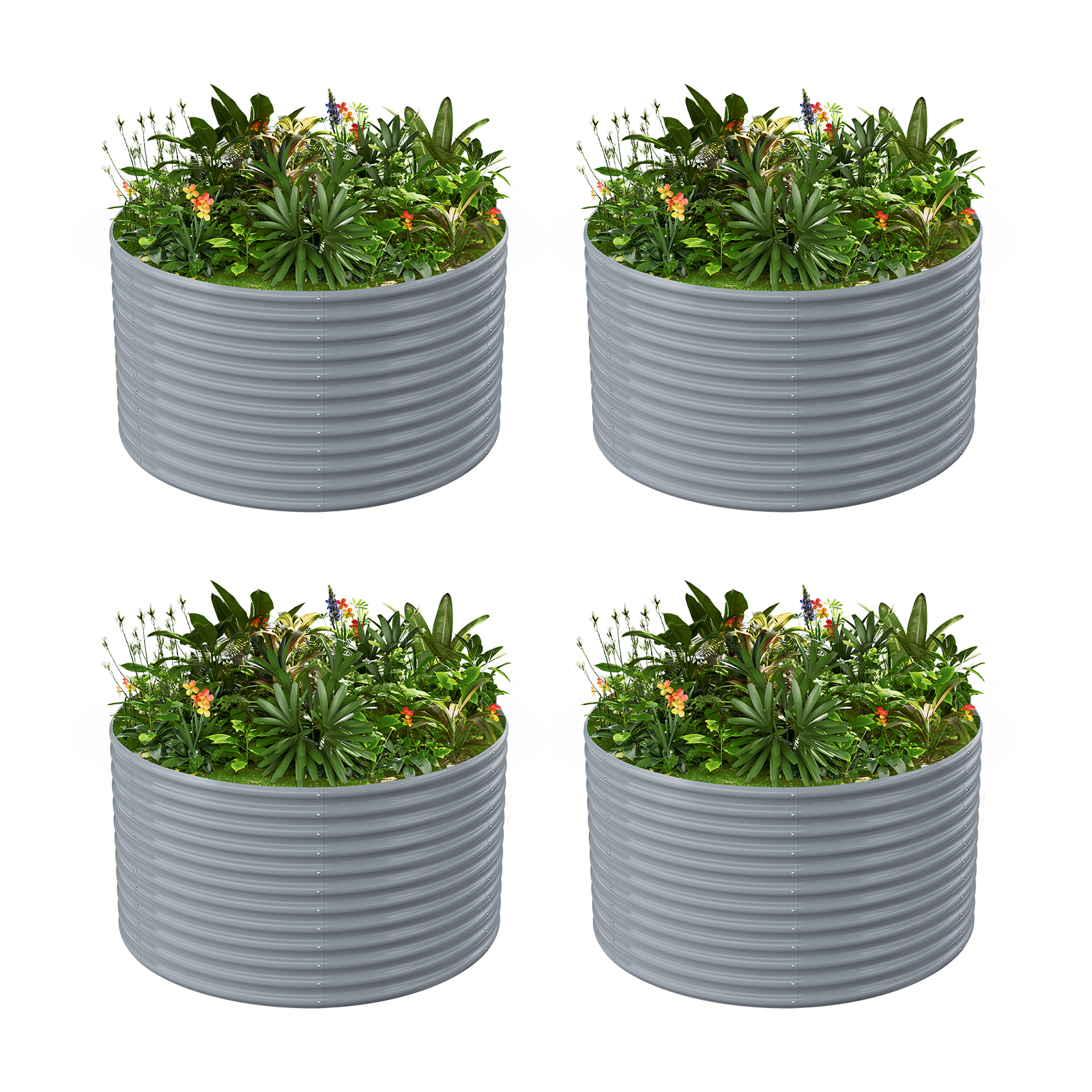 4-Pack 36
