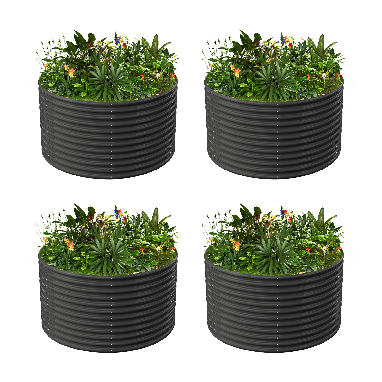 4-Pack 36