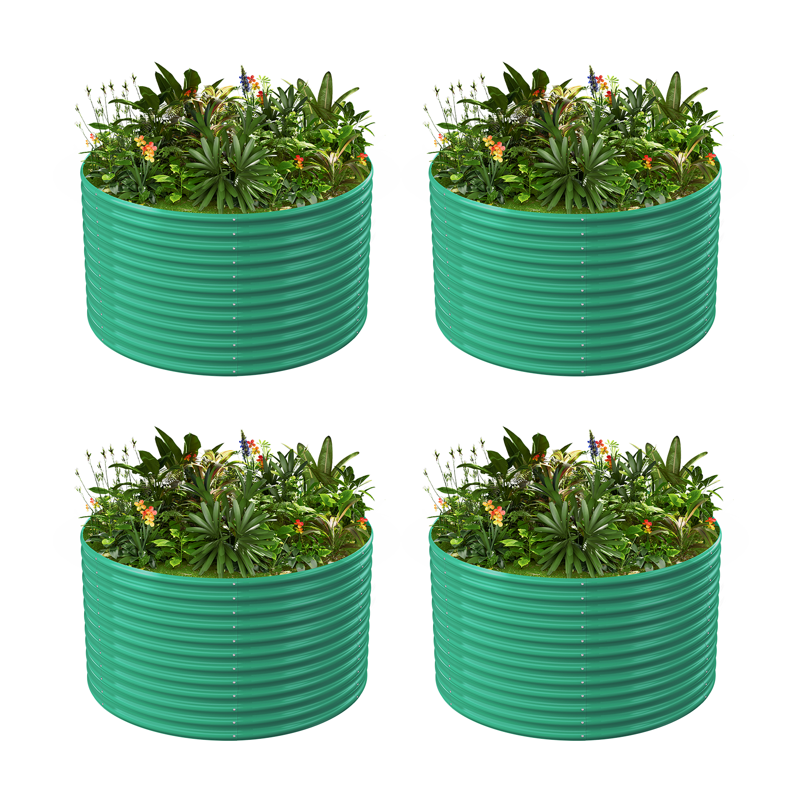 4-Pack 36