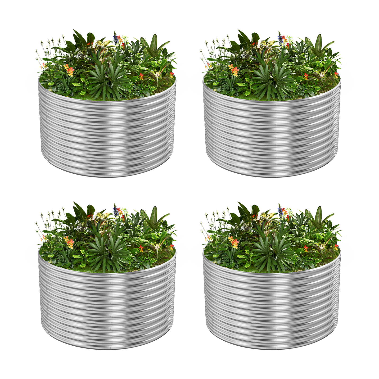4-Pack 36