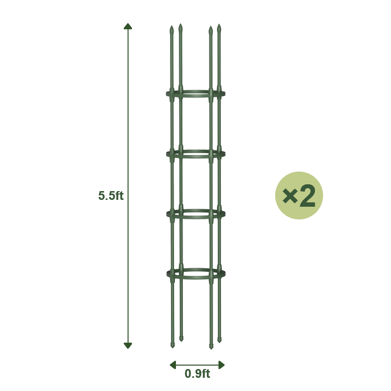 Round Climbing Frame