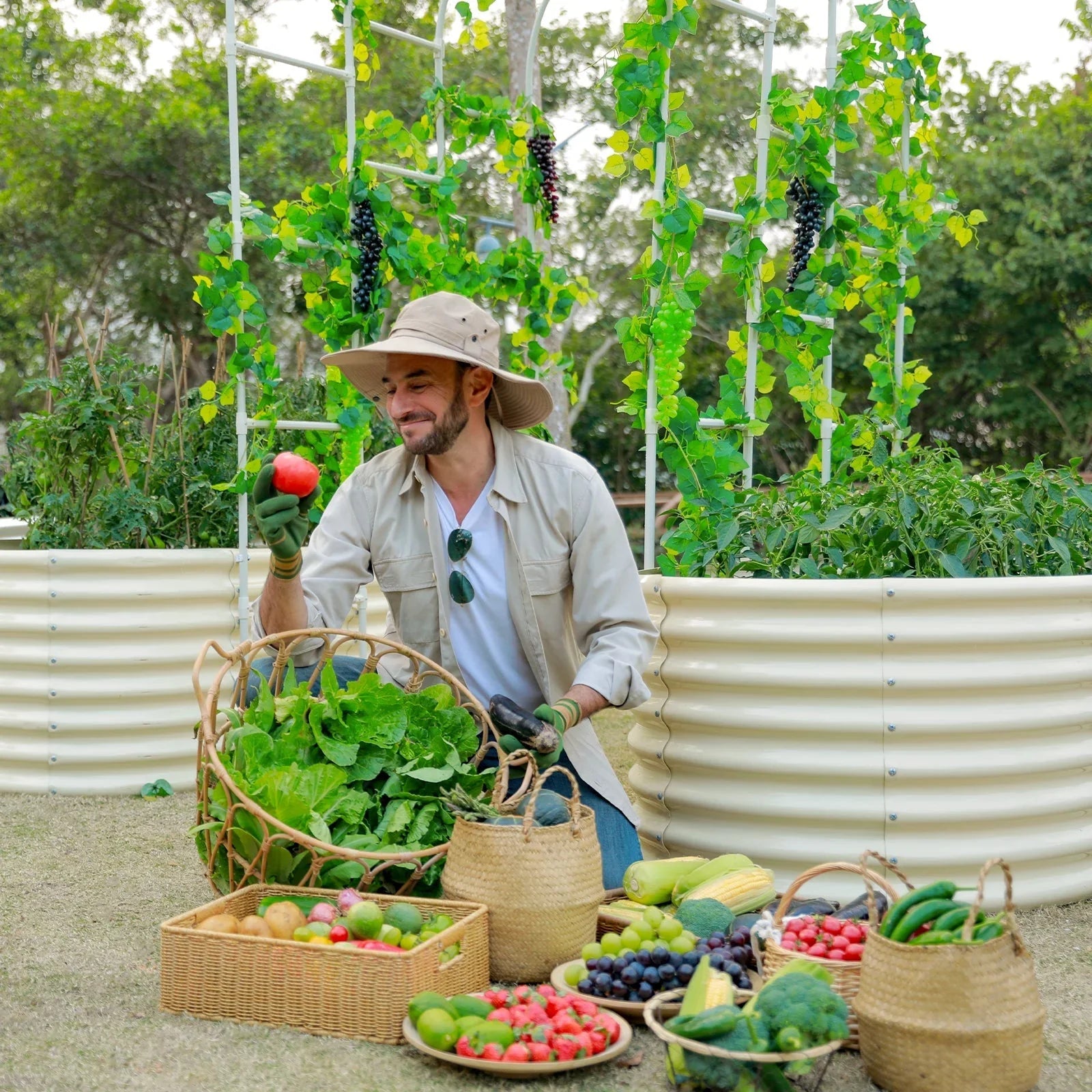 Man harvesting vegetables from a 24