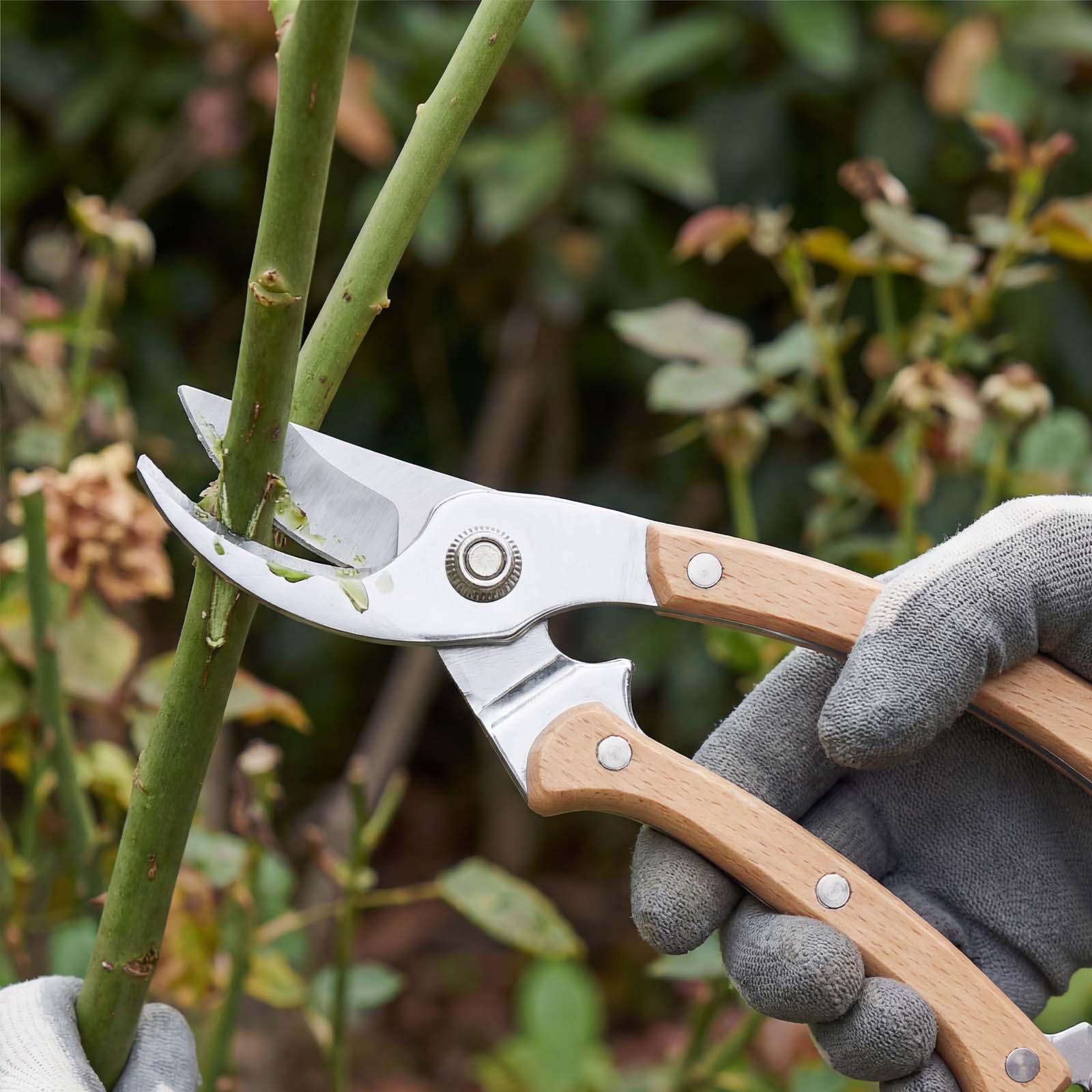 Landguardgarden 7.5-Inch Gardening Wooden Handle Pruning Shears