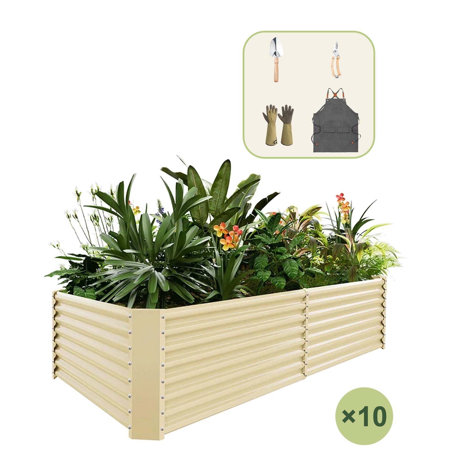 10-Pack 24