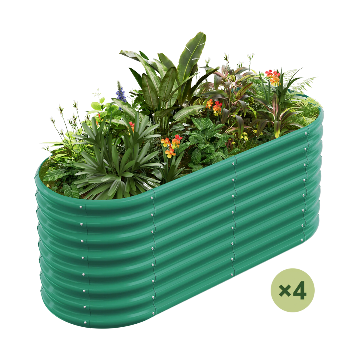 Green 24-inch tall oval galvanized raised garden bed filled with lush plants, part of a 4-pack.