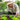 Gardener adding soil to lettuce plants in a galvanized raised garden bed
