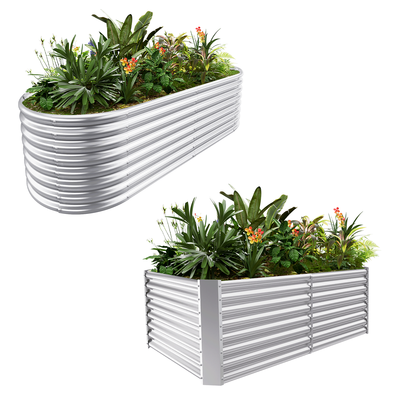 2-Pack 24