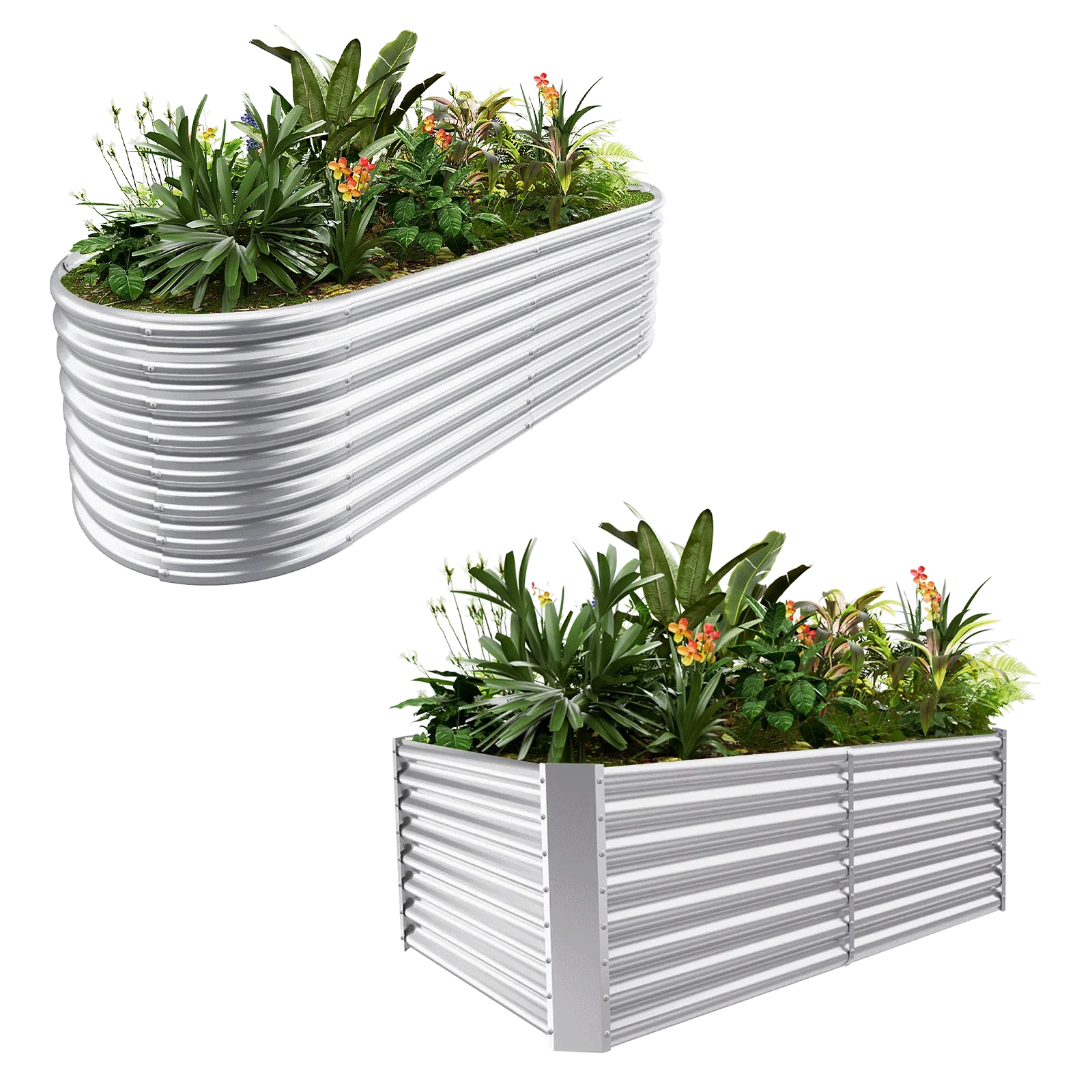 2-Pack 24" Tall 6×3×2 ft Galvanized Raised Garden Bed -1pcs Oval+1pcs Rectangular - Land Guard