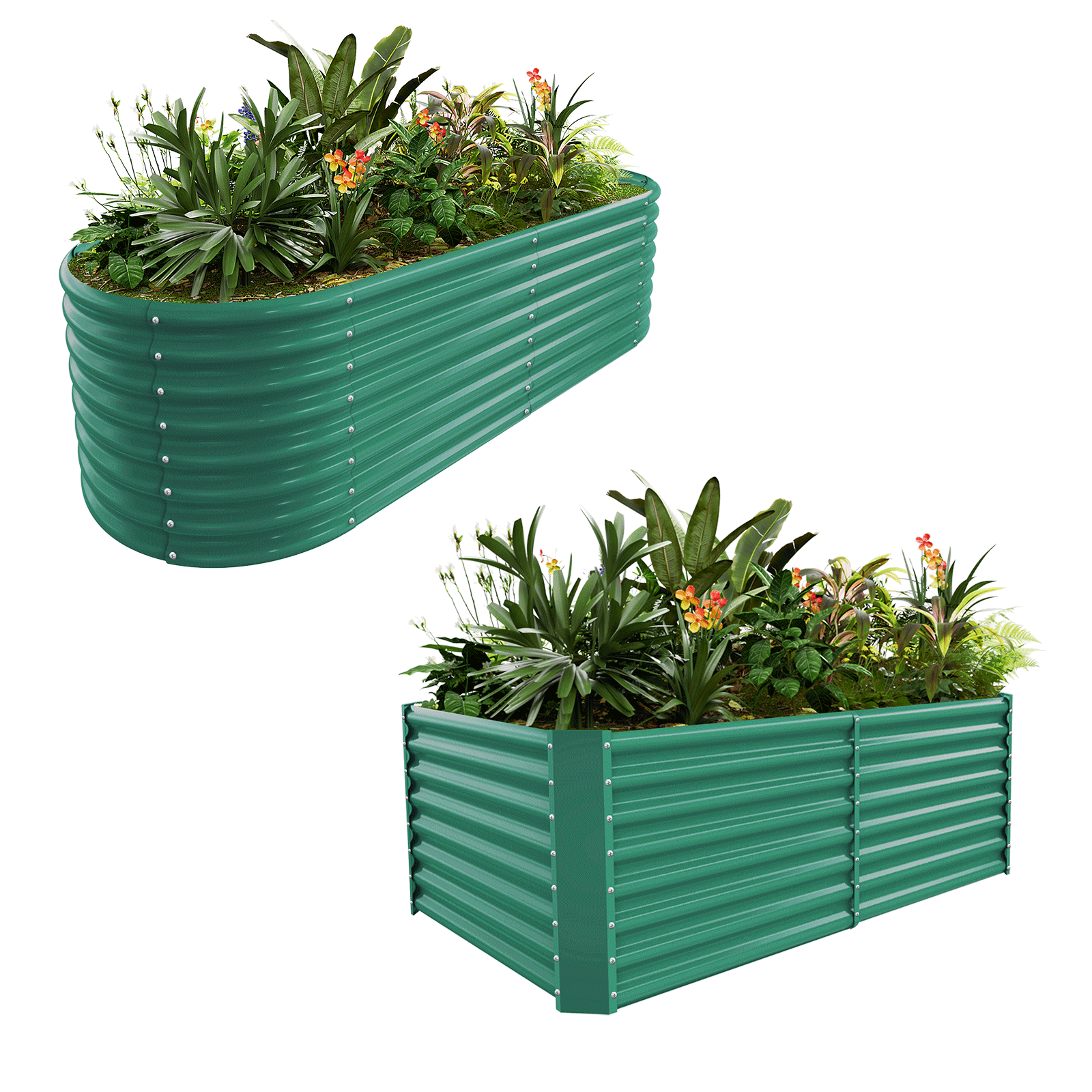 2-Pack 24