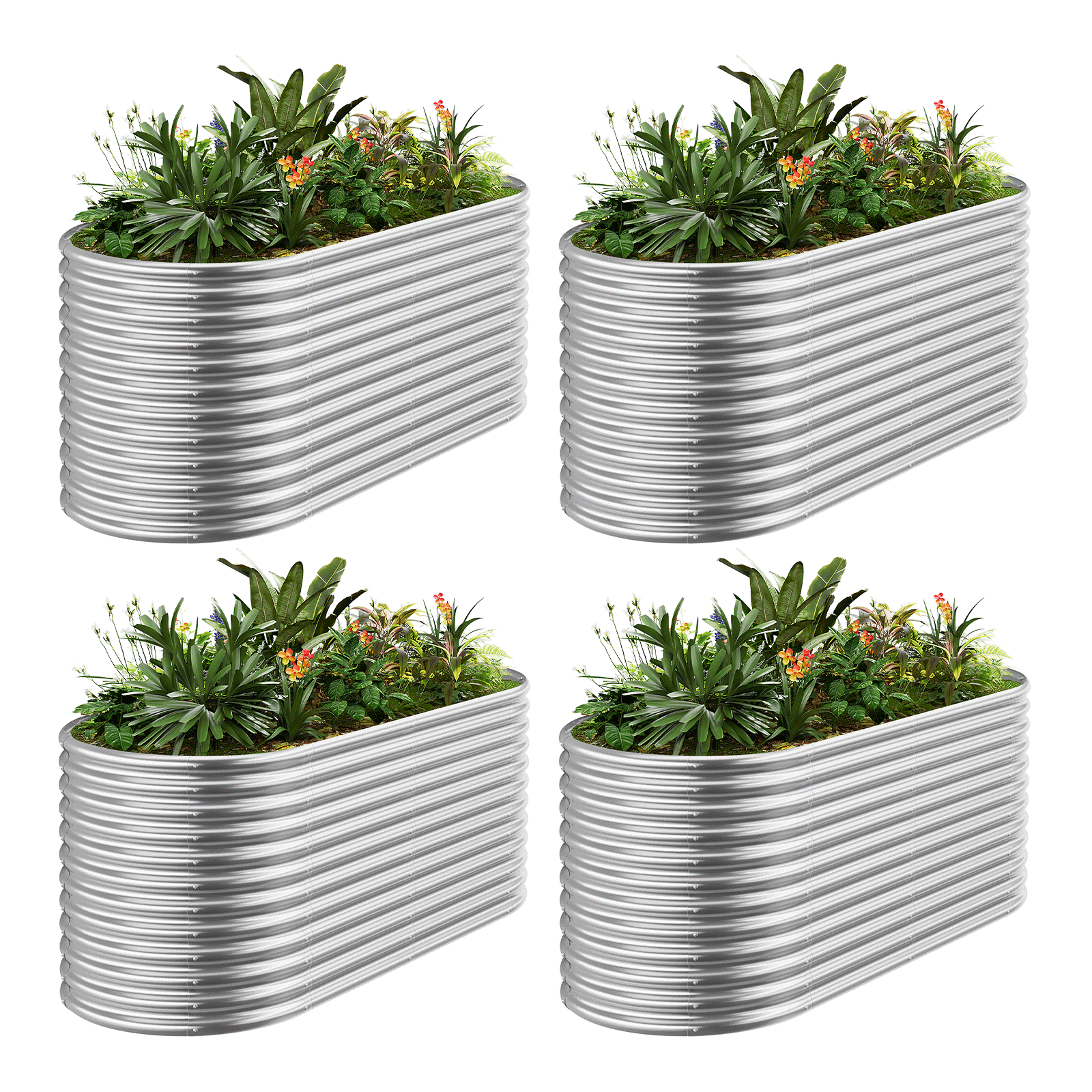 4-Pack 36