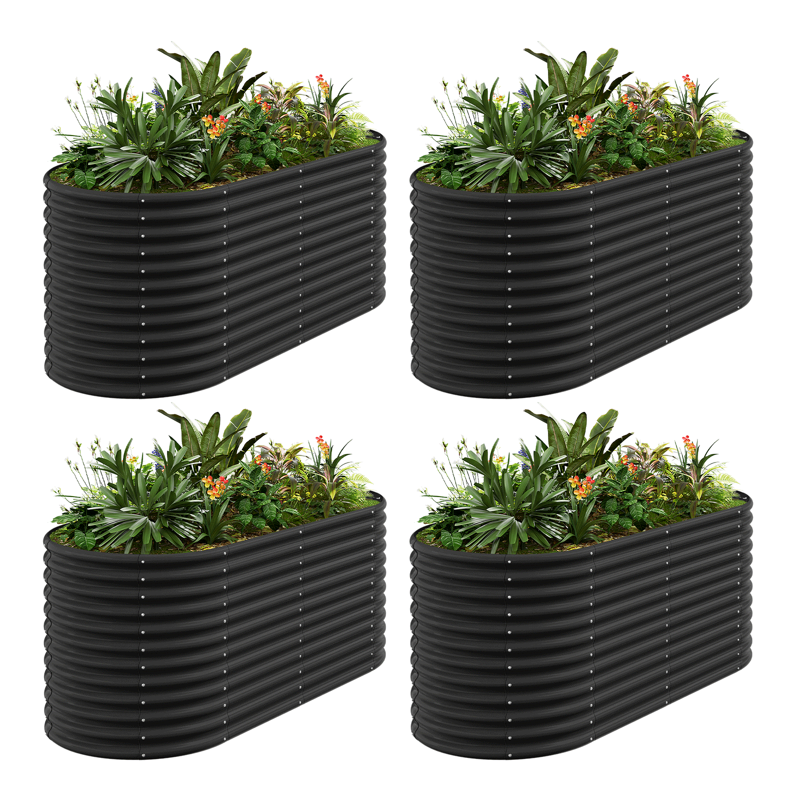 4-Pack 36