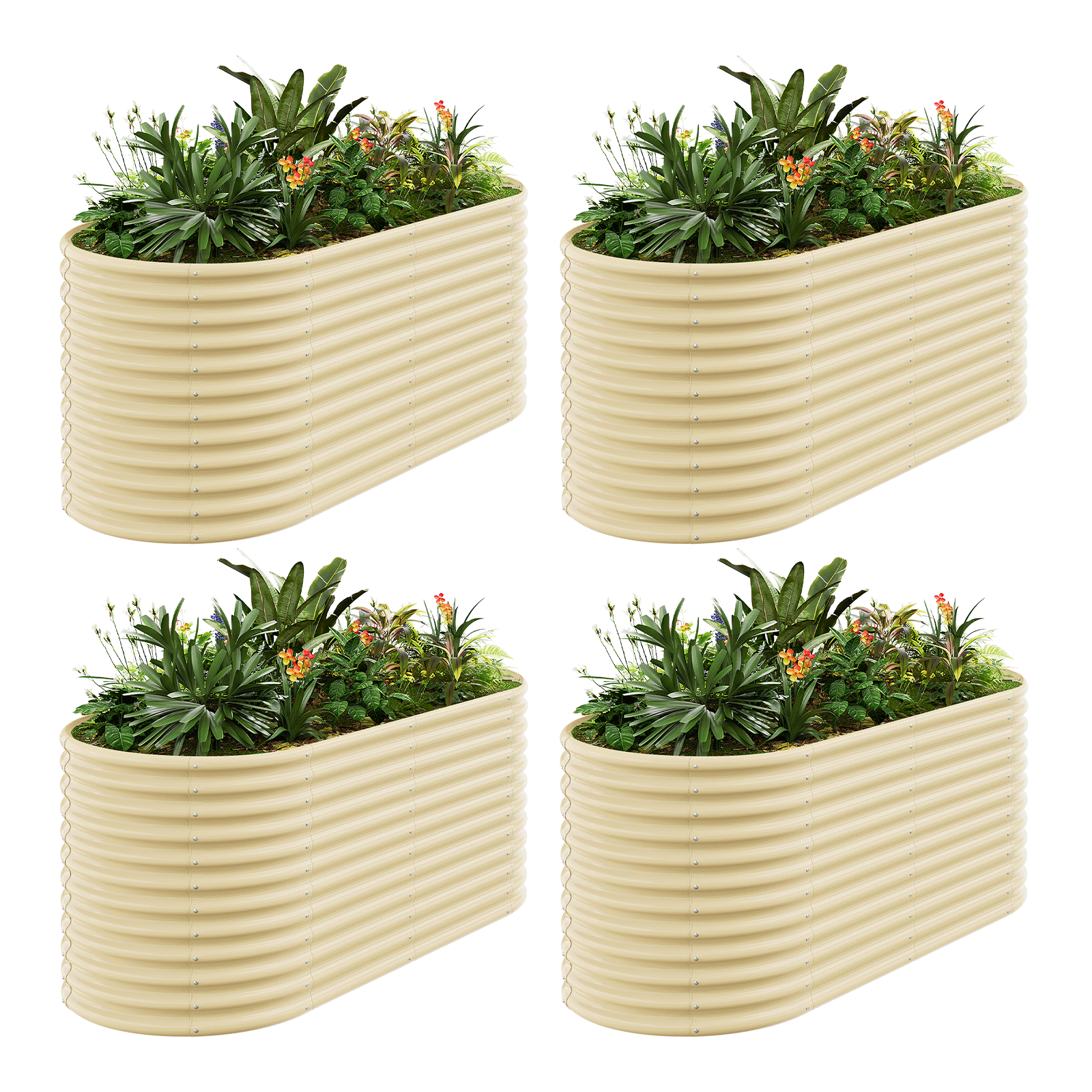 4-Pack 36