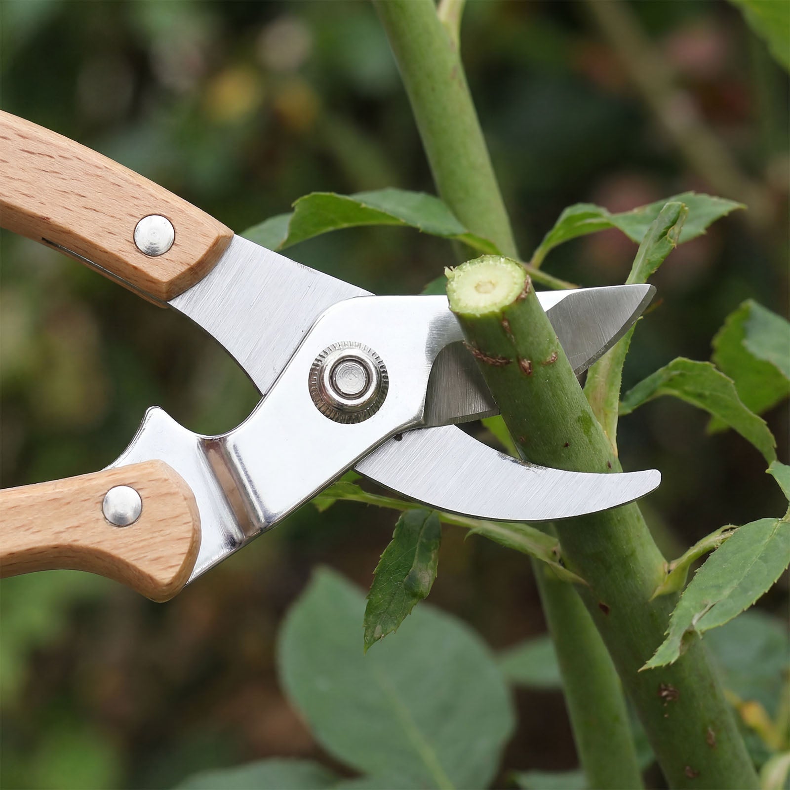 Landguardgarden 7.5-Inch Gardening Wooden Handle Pruning Shears