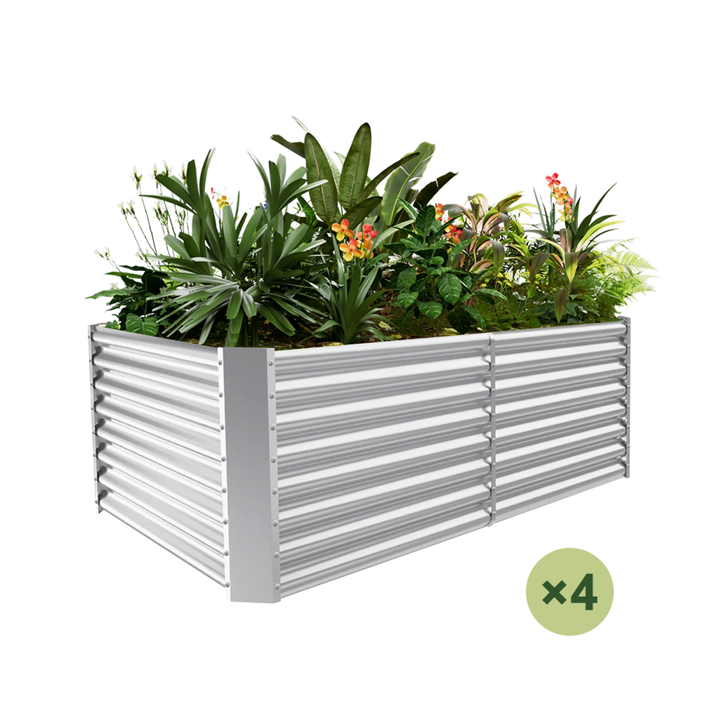 4-Pack 24